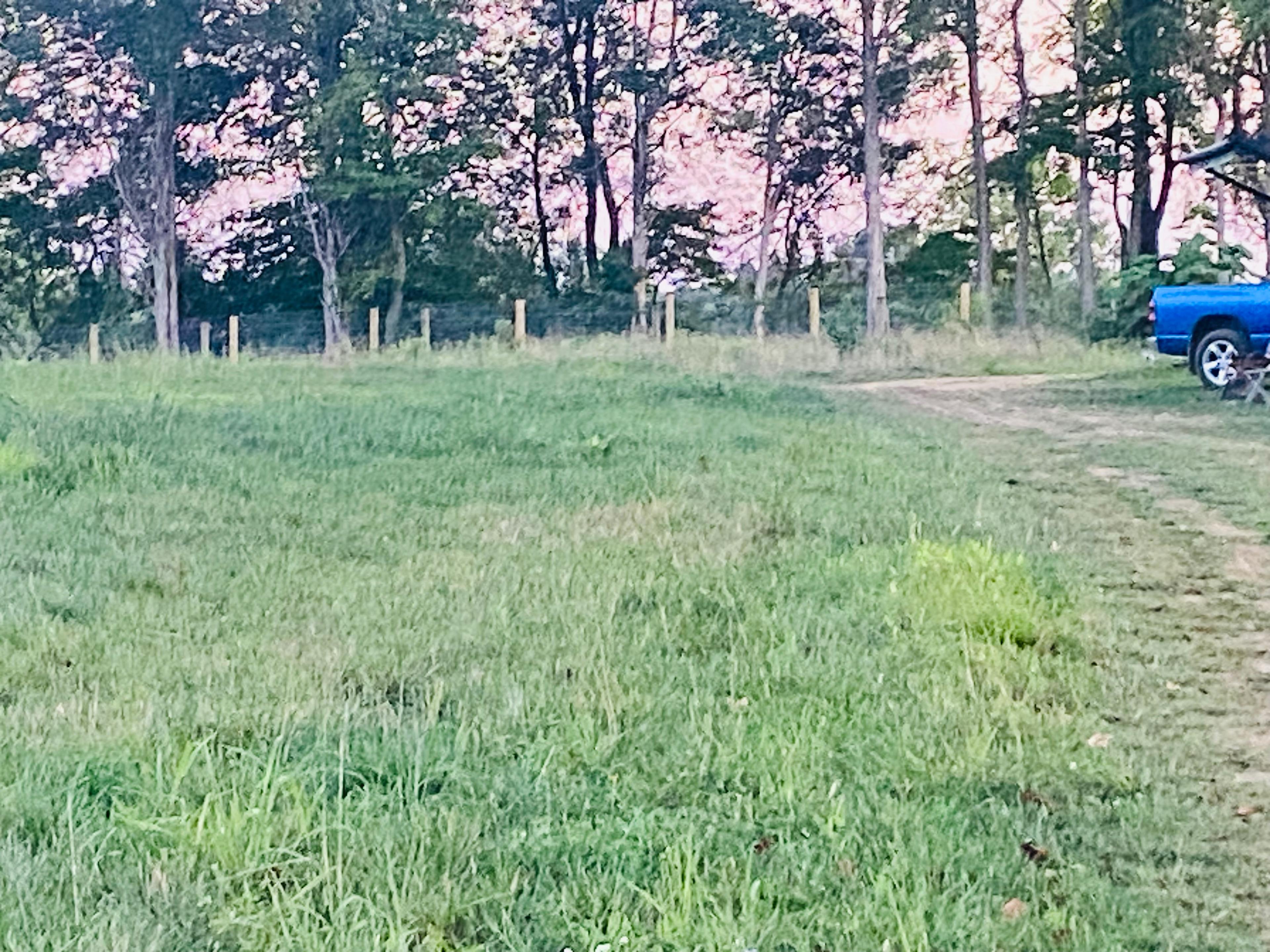 Little Goat Farm at the Lake