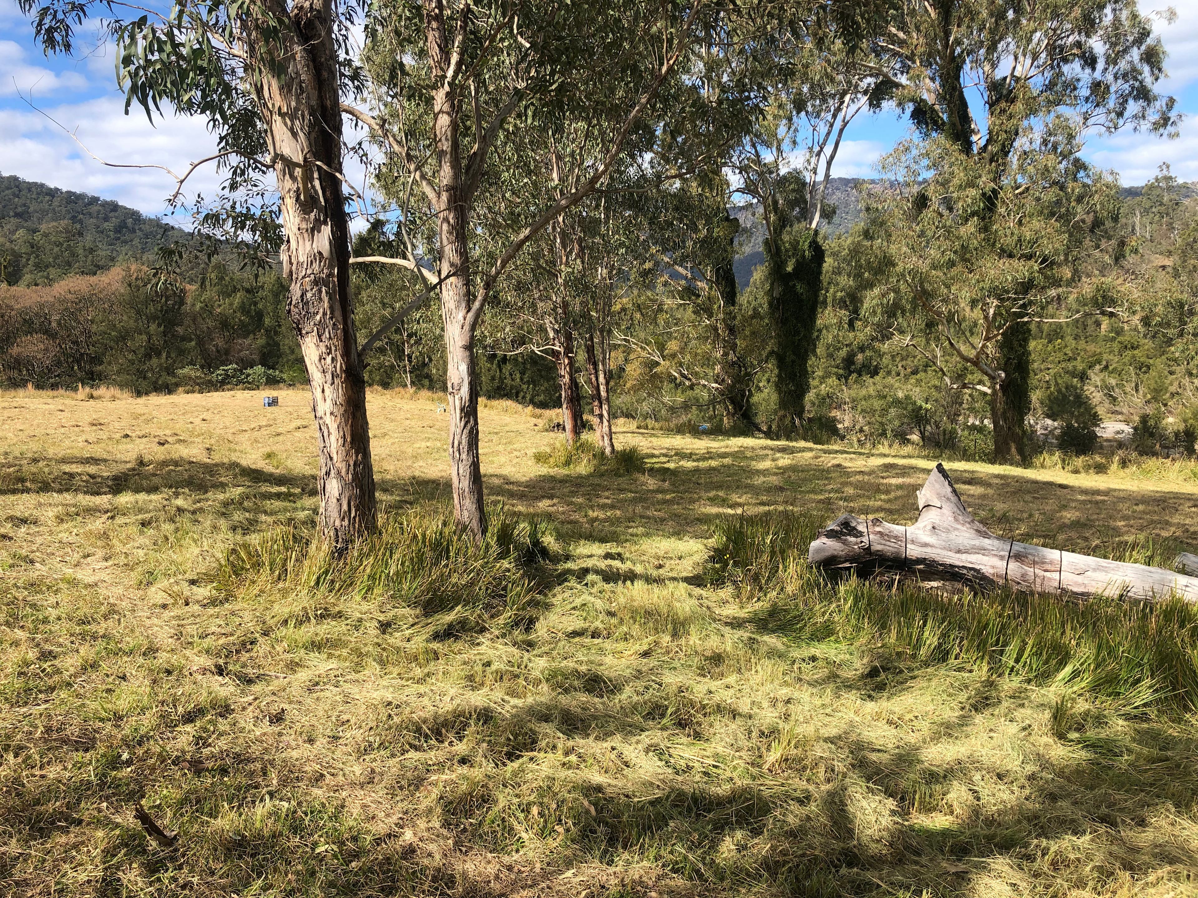 Views over the campsite area. Plenty of level, unobstructed spaces beyond.