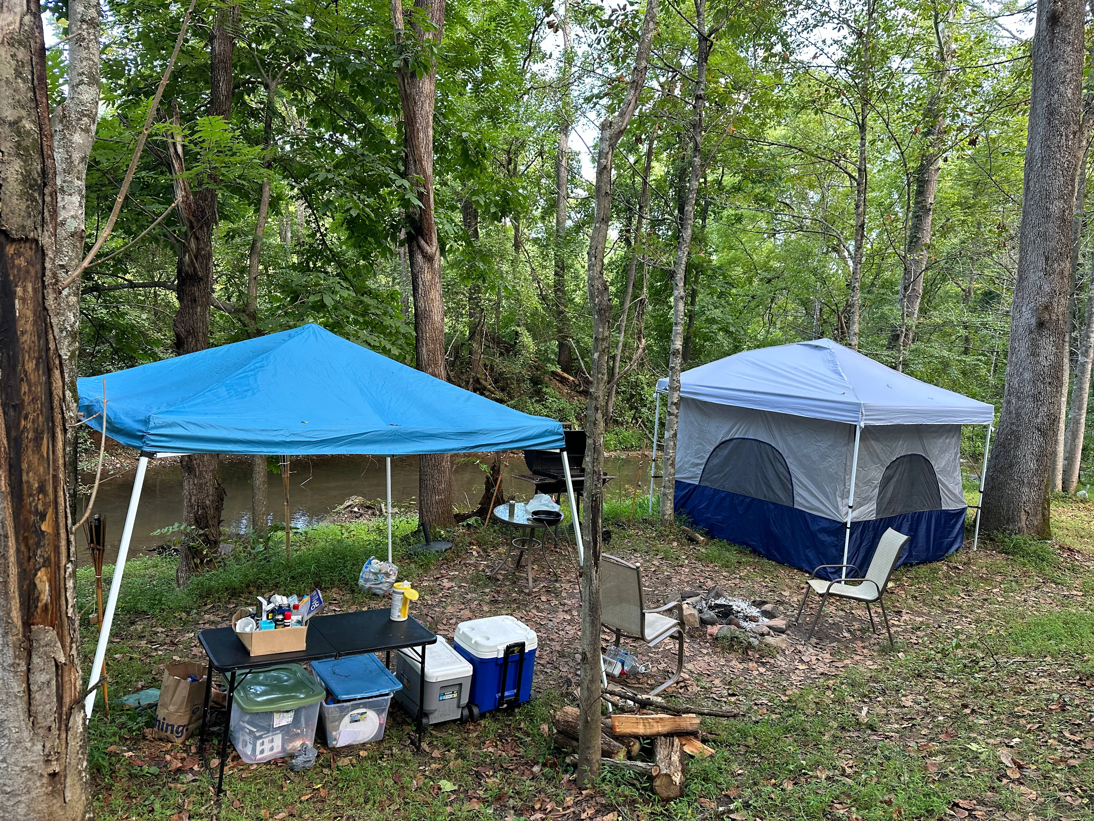 MzzBeeHaven Apiary & Creekside Camp