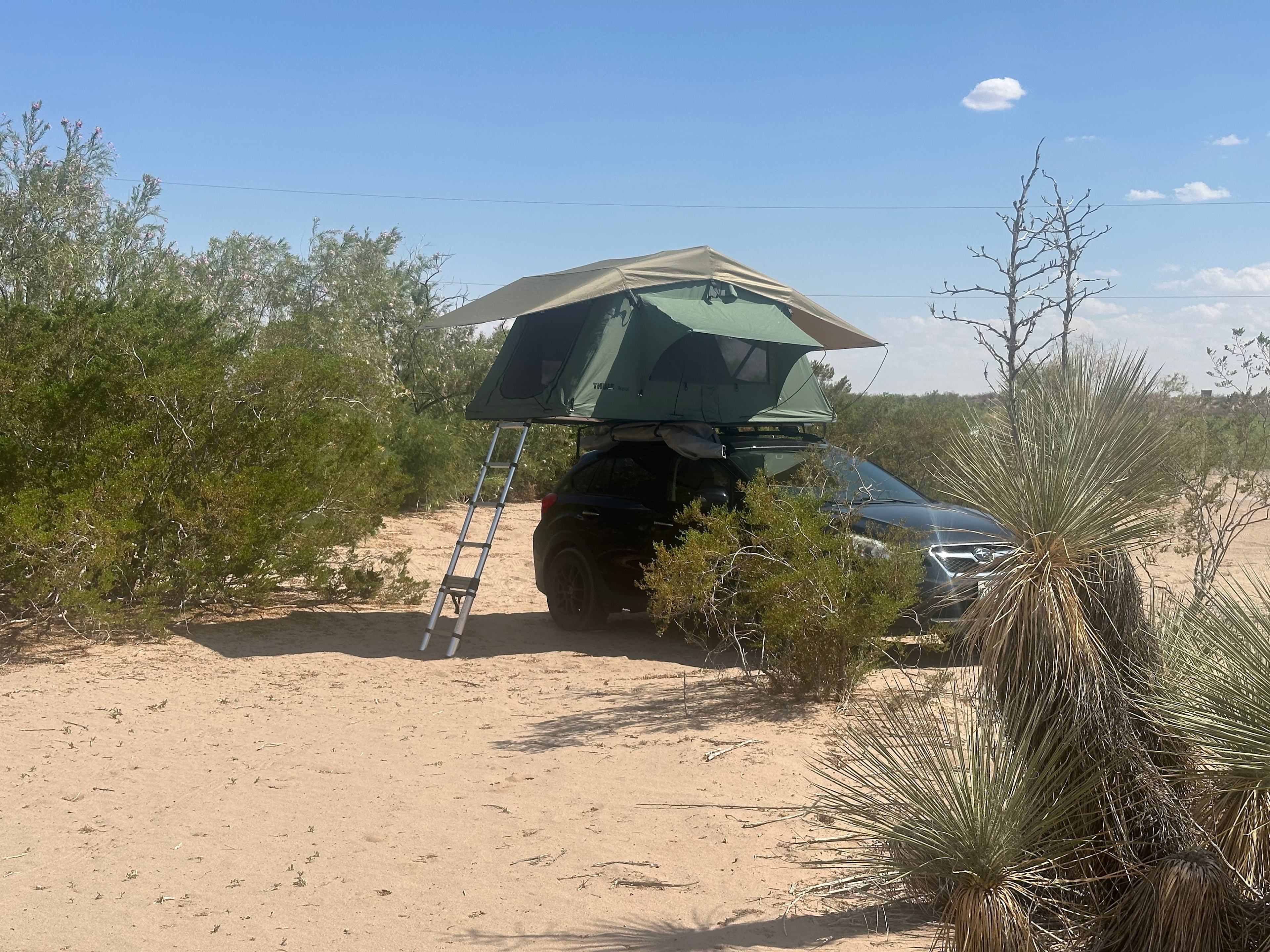 Spur-C Desert Oasis #1