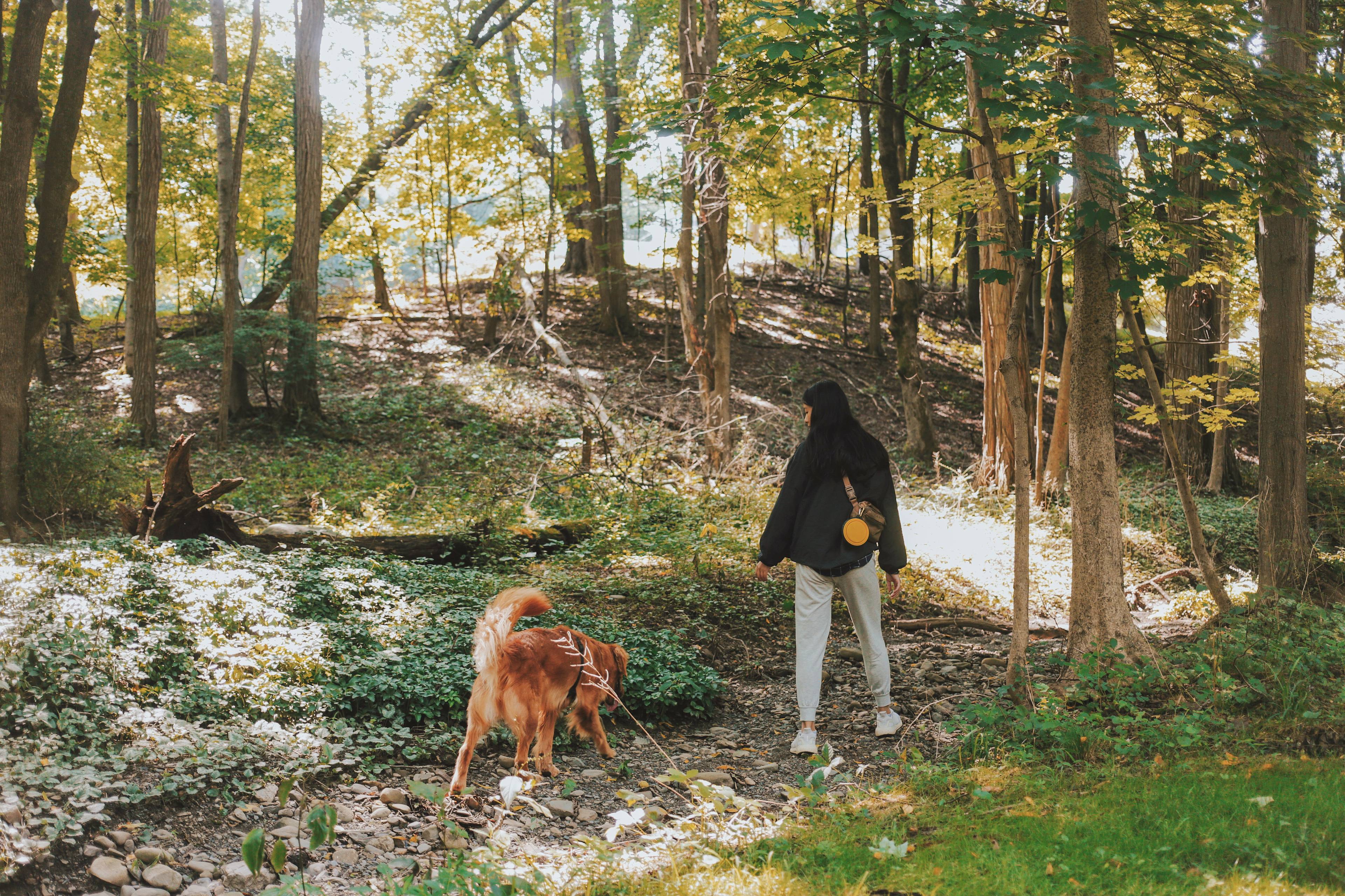 Great hiking areas all around