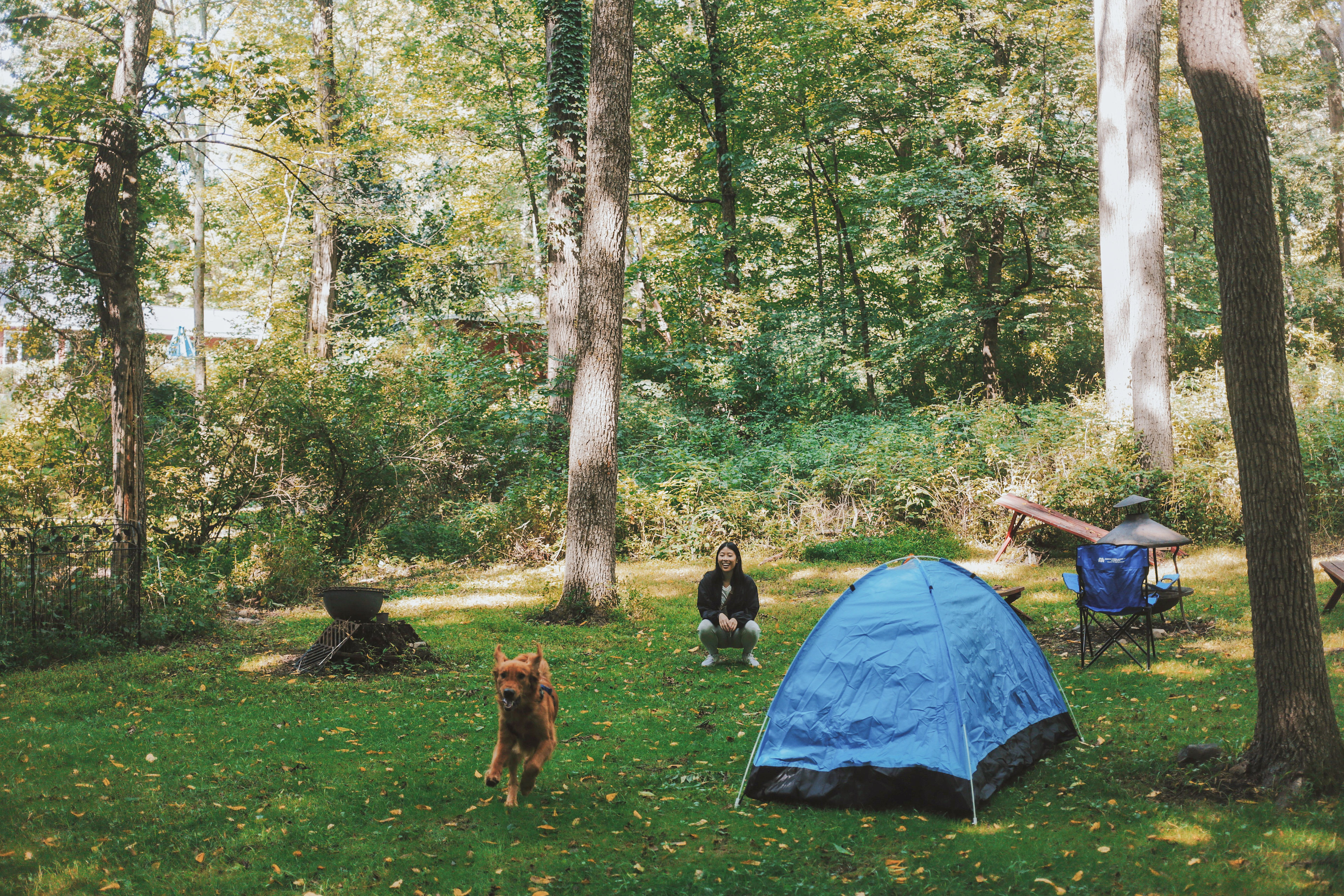 Main campsite
