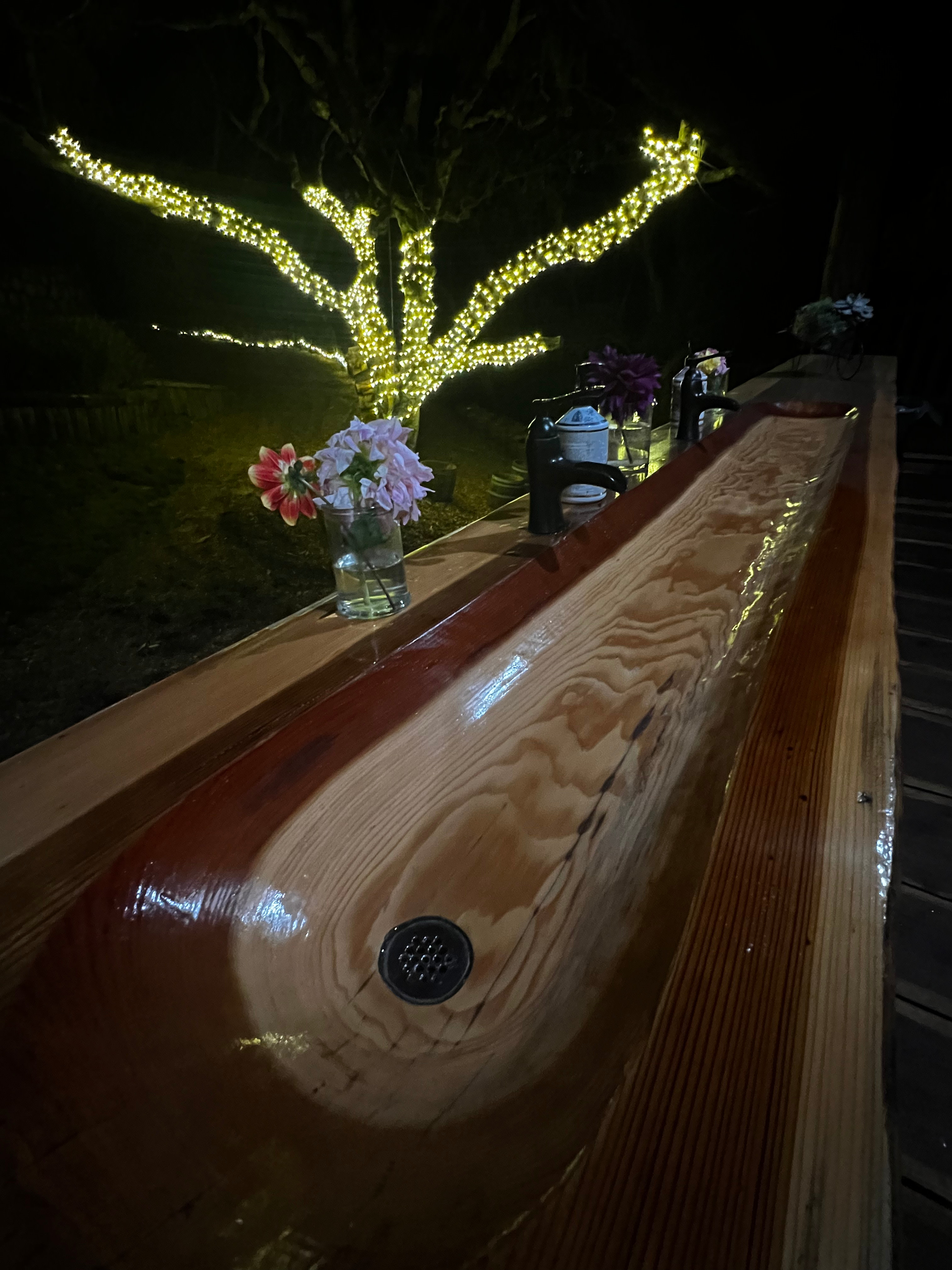 The Secret Gardens by the Bay