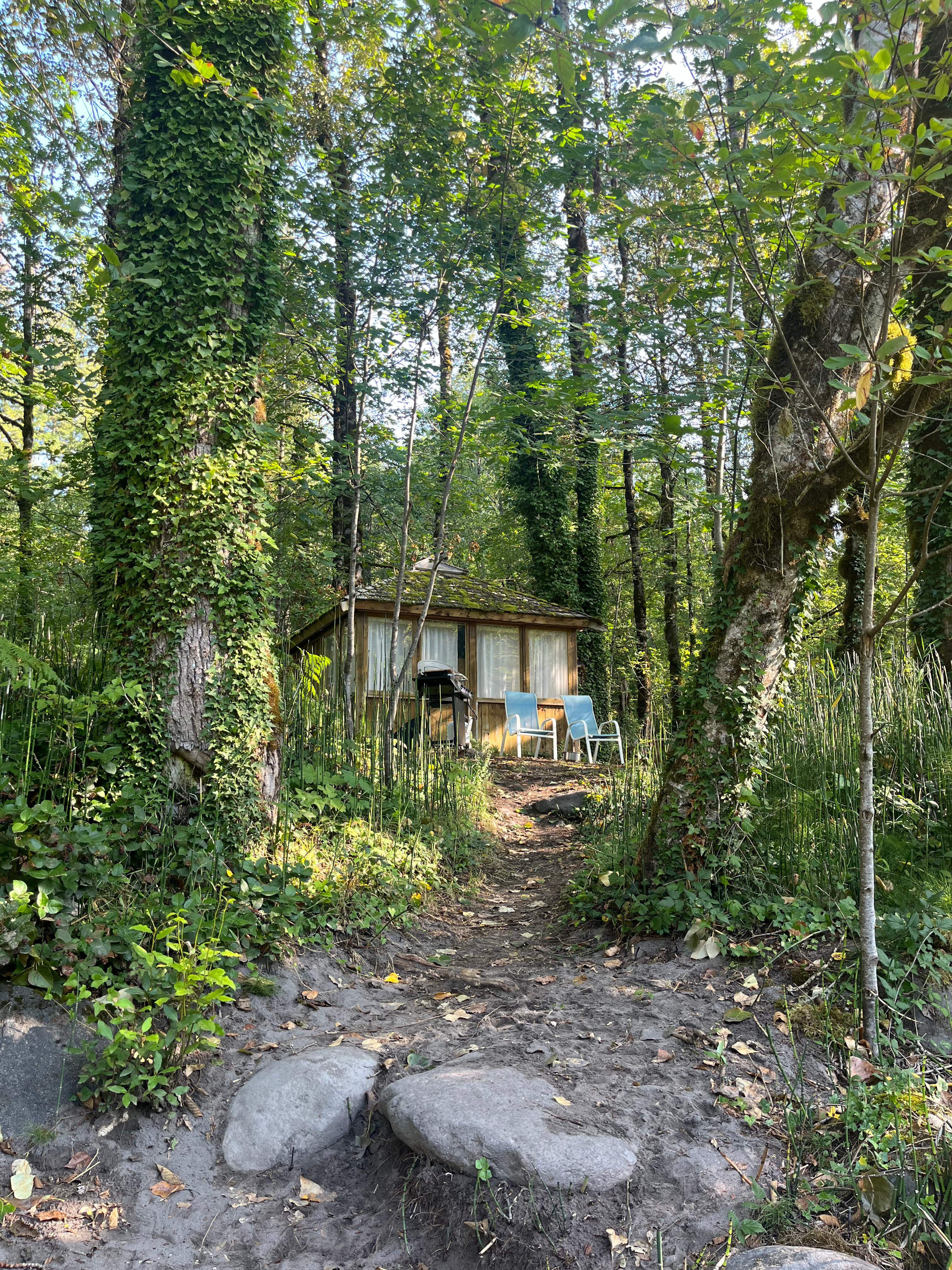 Mt. Hood Enchanted Forest