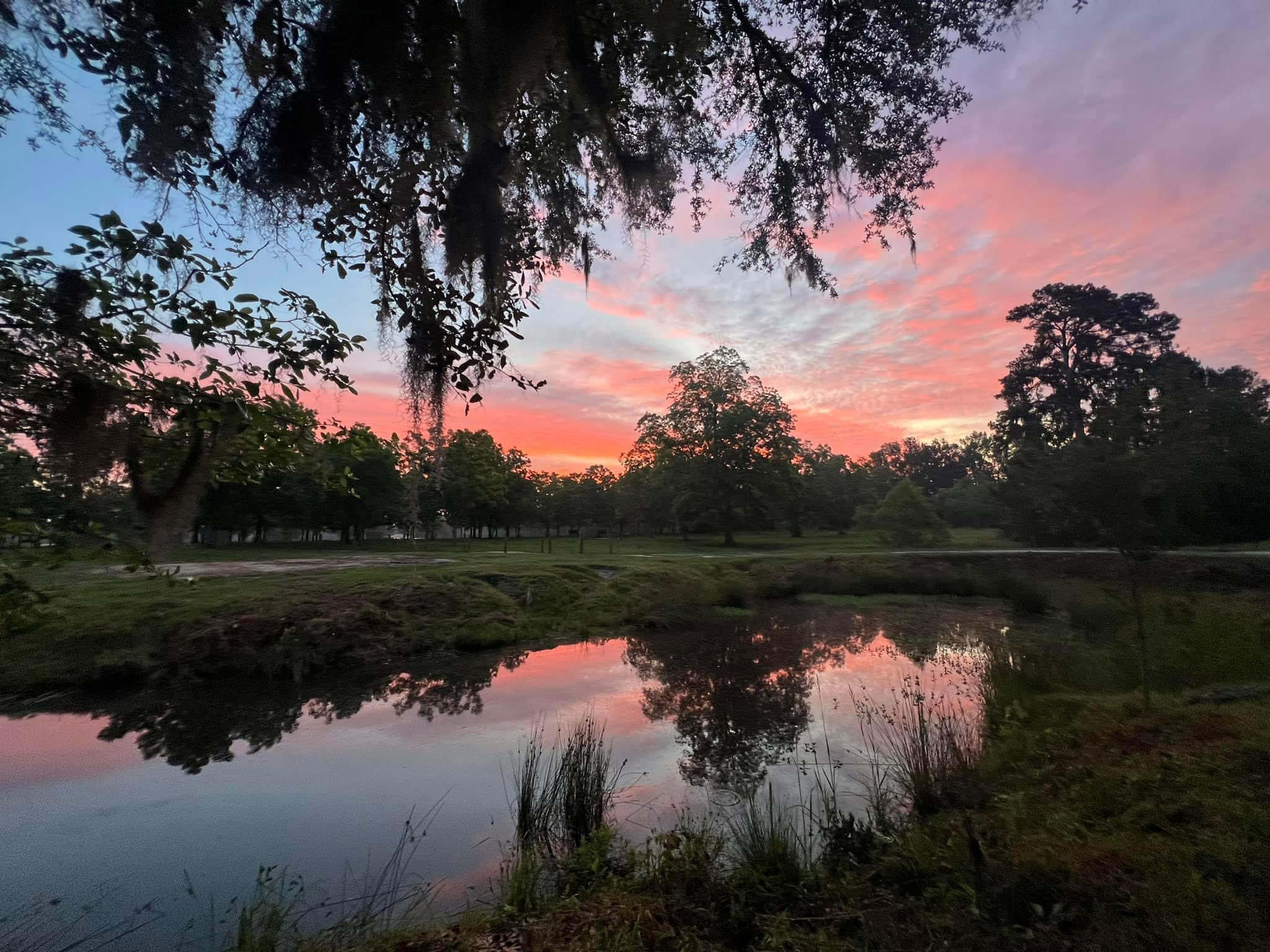 Shire Hill Grove, Yemassee, SC