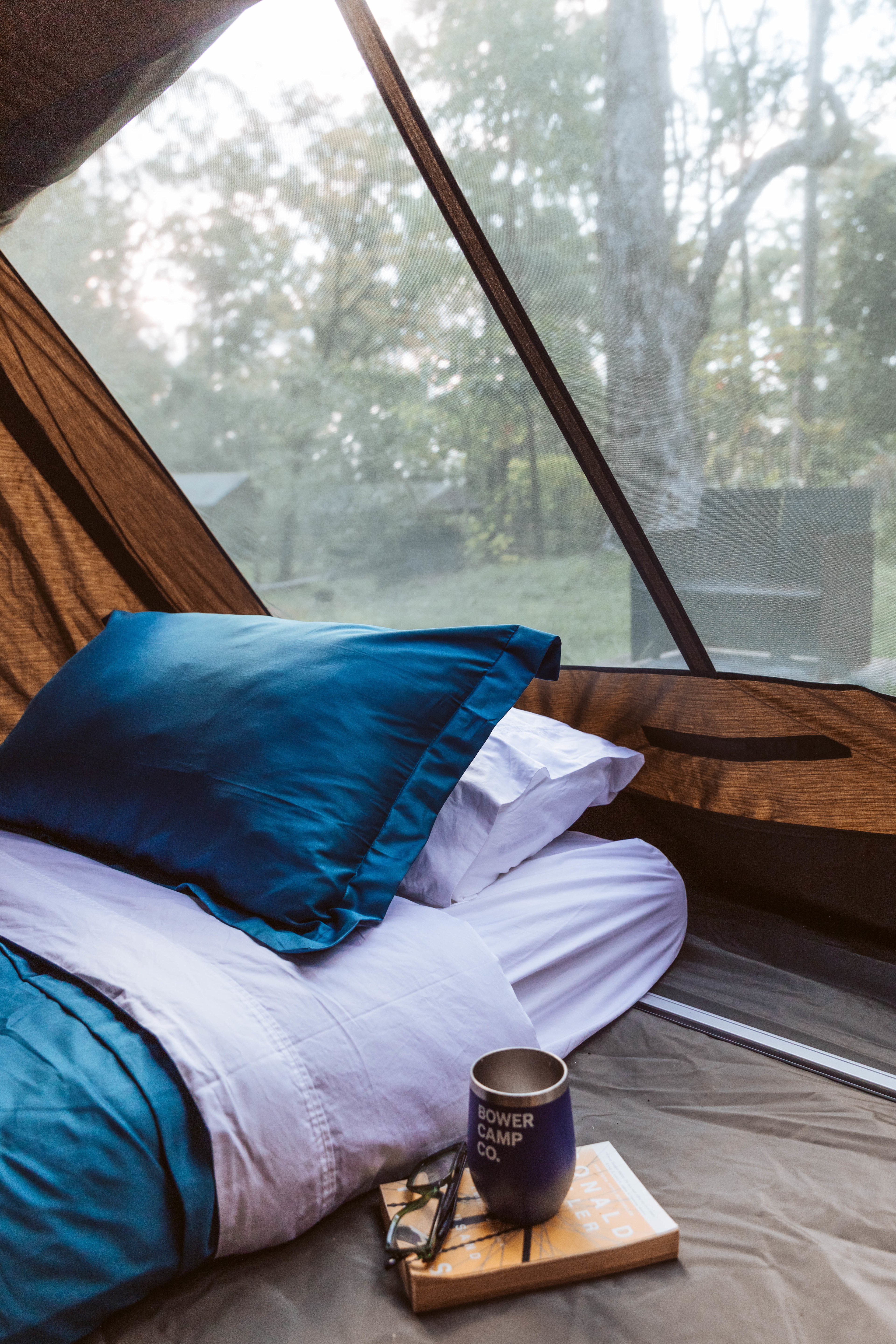 Bower Camp Co. Yuraygir NP