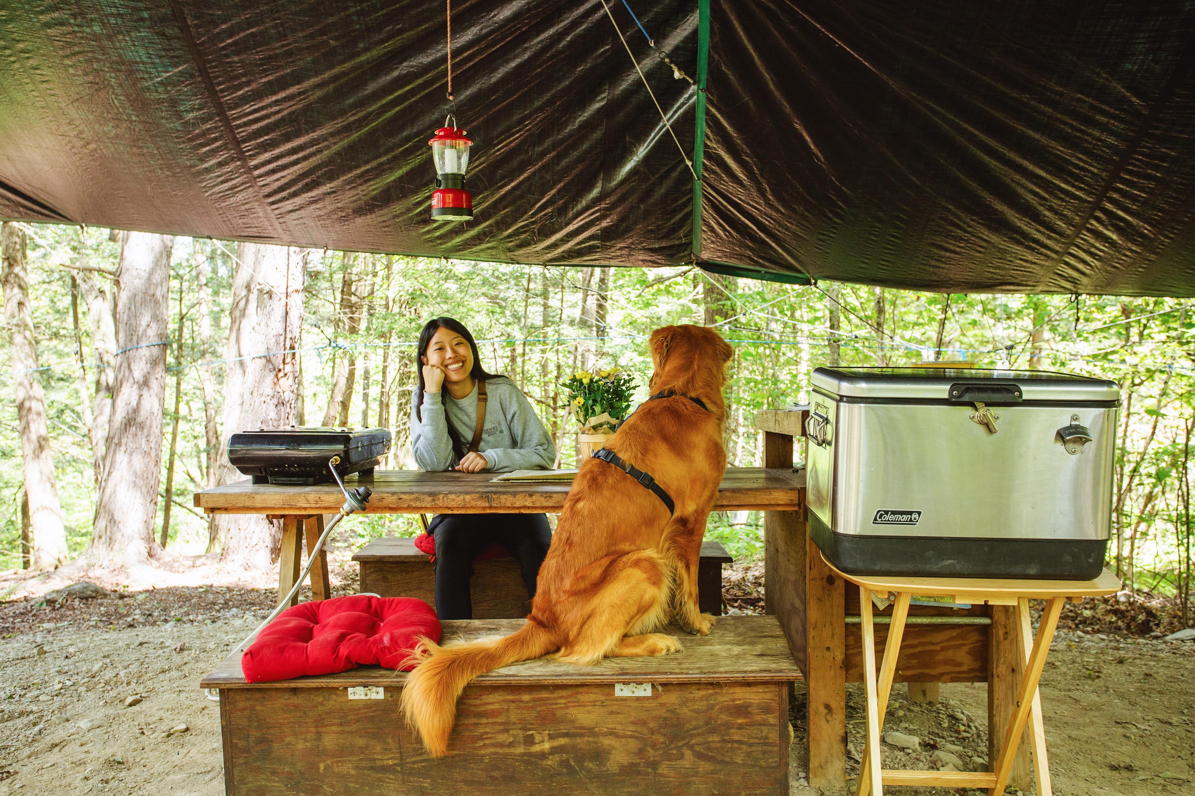 Hucklebuck Railway Campsites