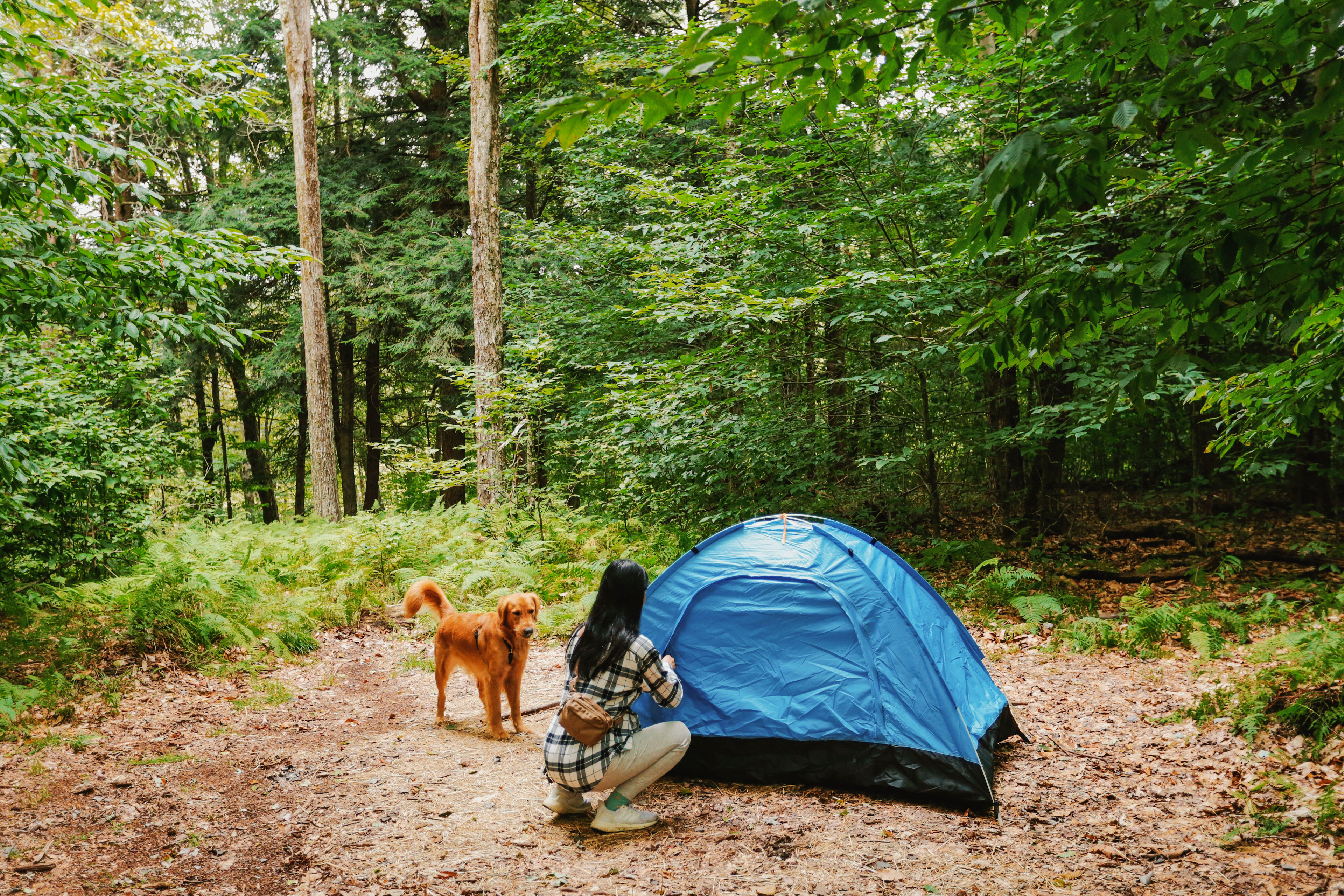 Blue Wind Nature Camp