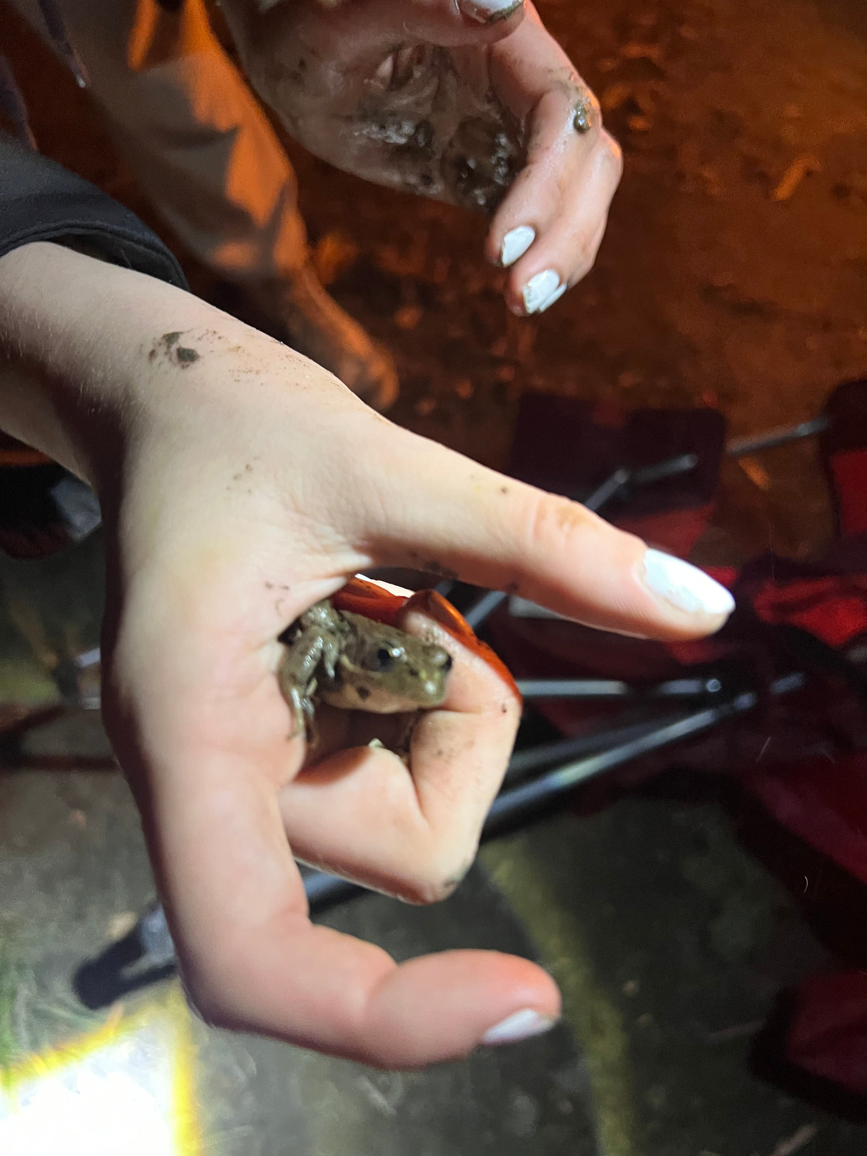 Cowlitz River Rentals