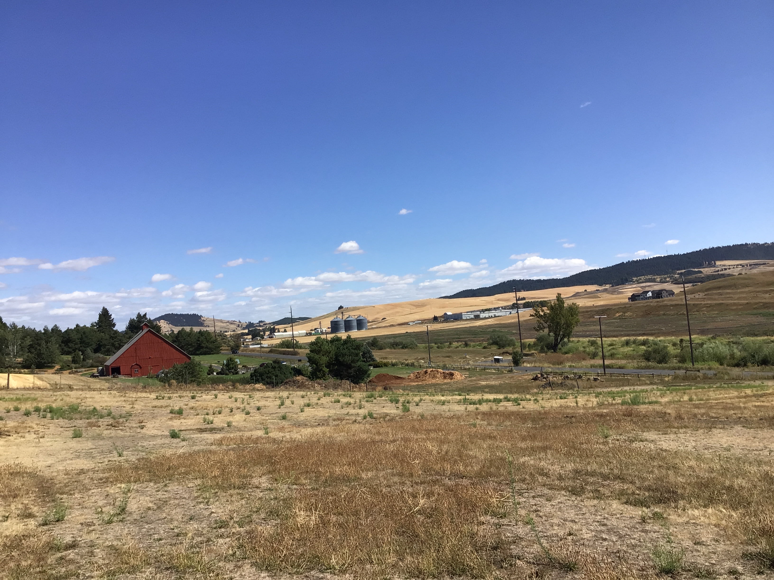 Triple Tree Ranch