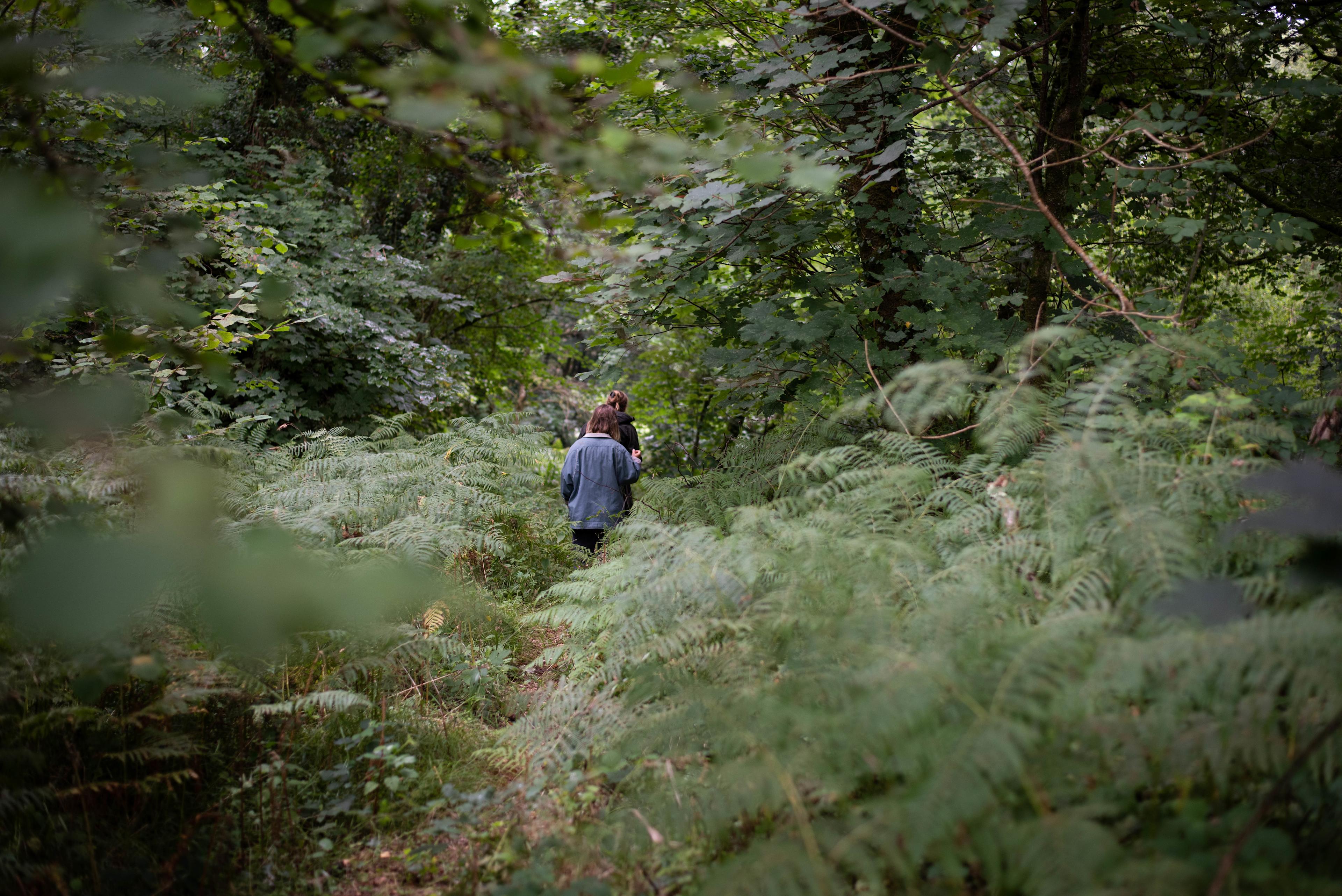 Tree Tent Experience Camp- Cornwall