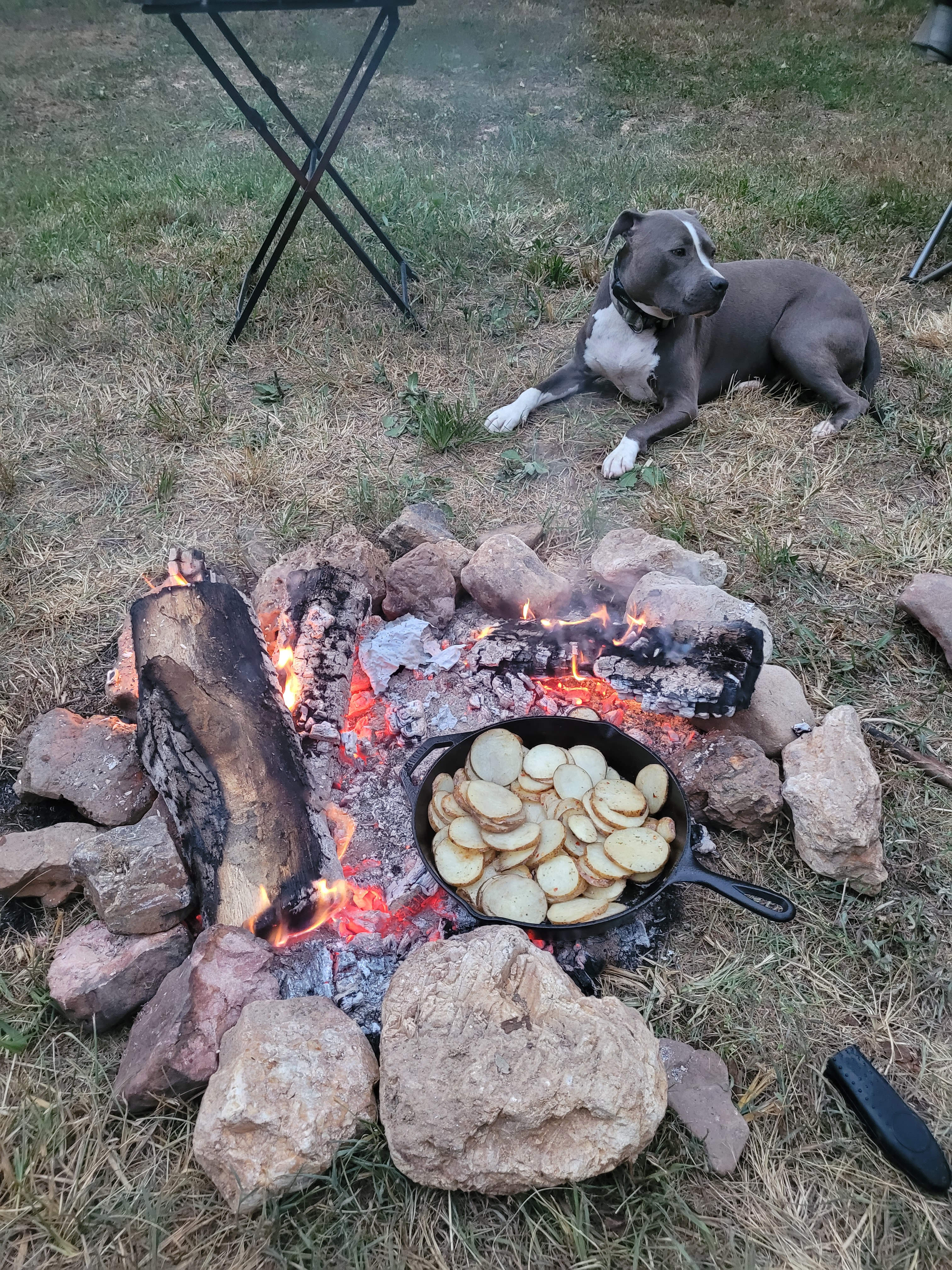 Sycamore Springs Campground