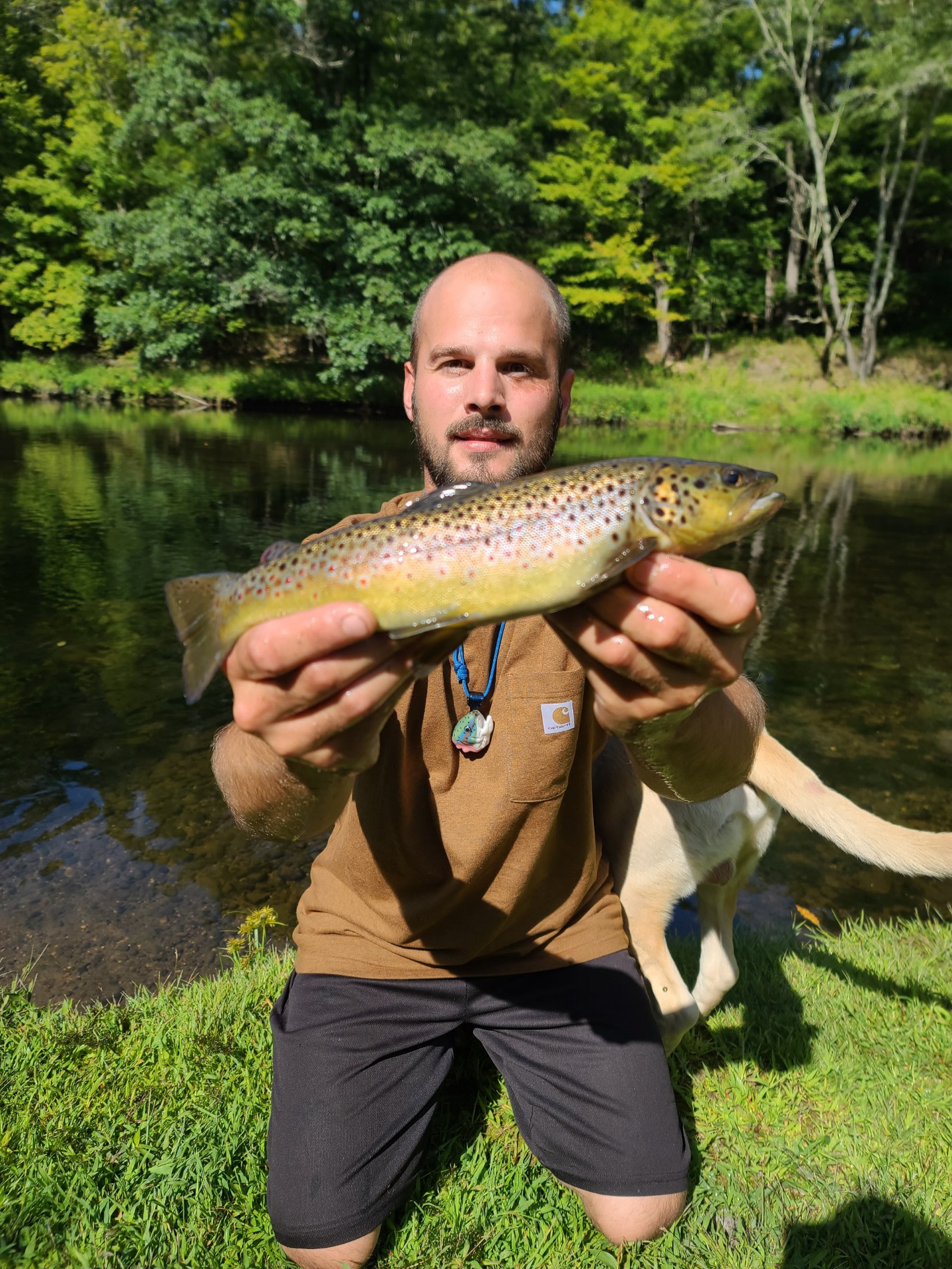 The Neversink River Isle