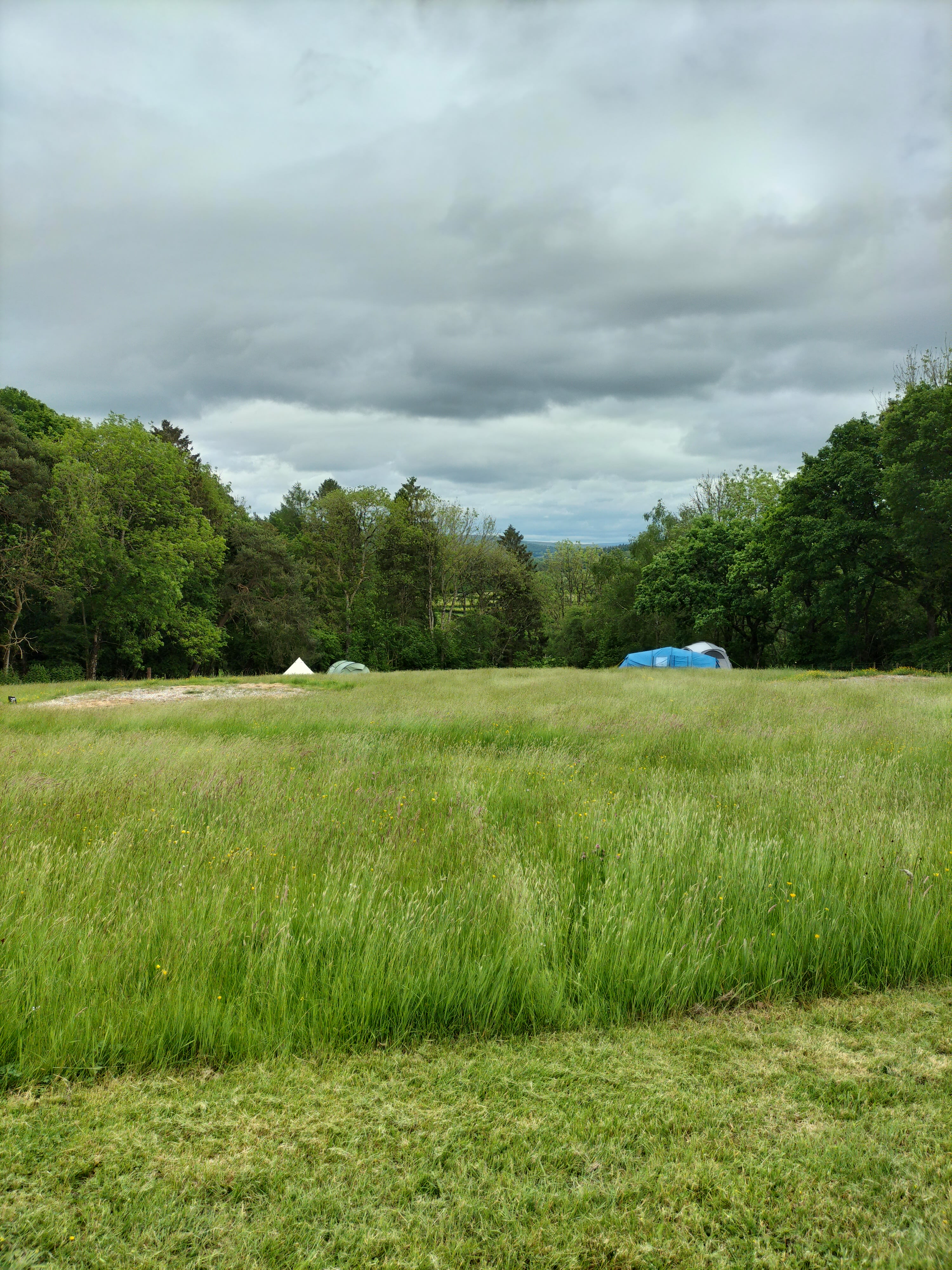 Cwmwye Camping