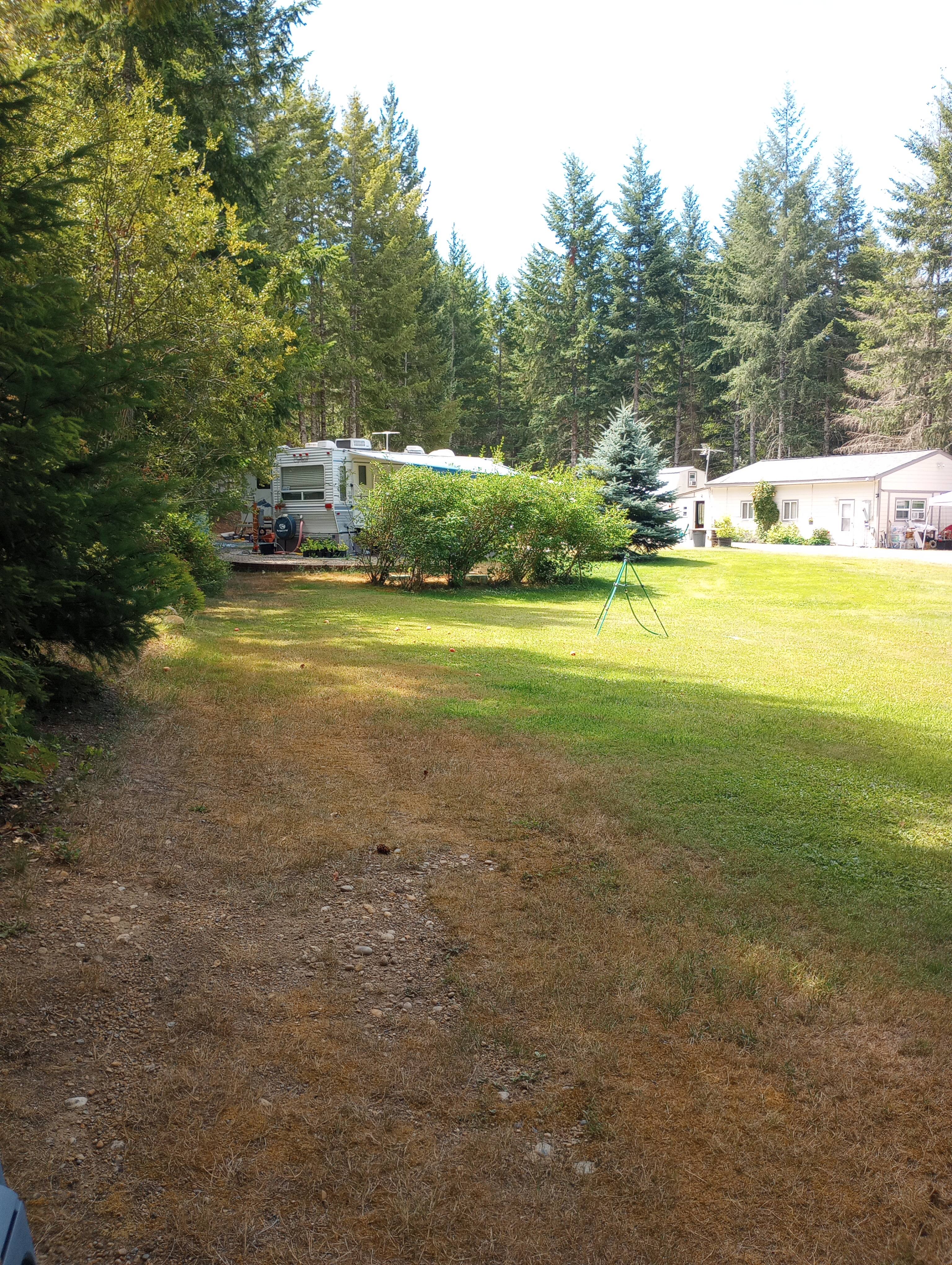 Peaceful Olympic Peninsula RV Sites
