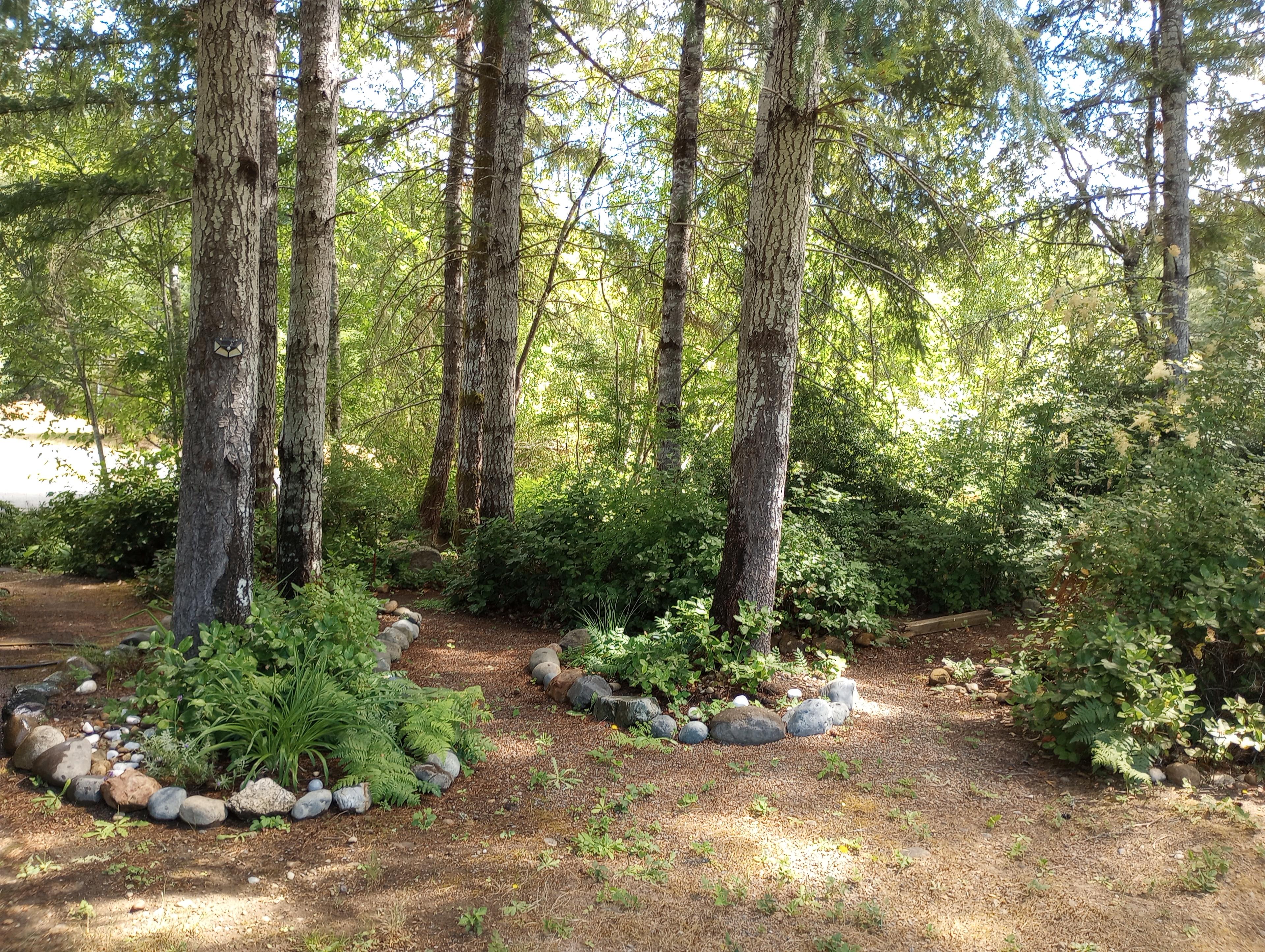 Peaceful Olympic Peninsula RV Sites