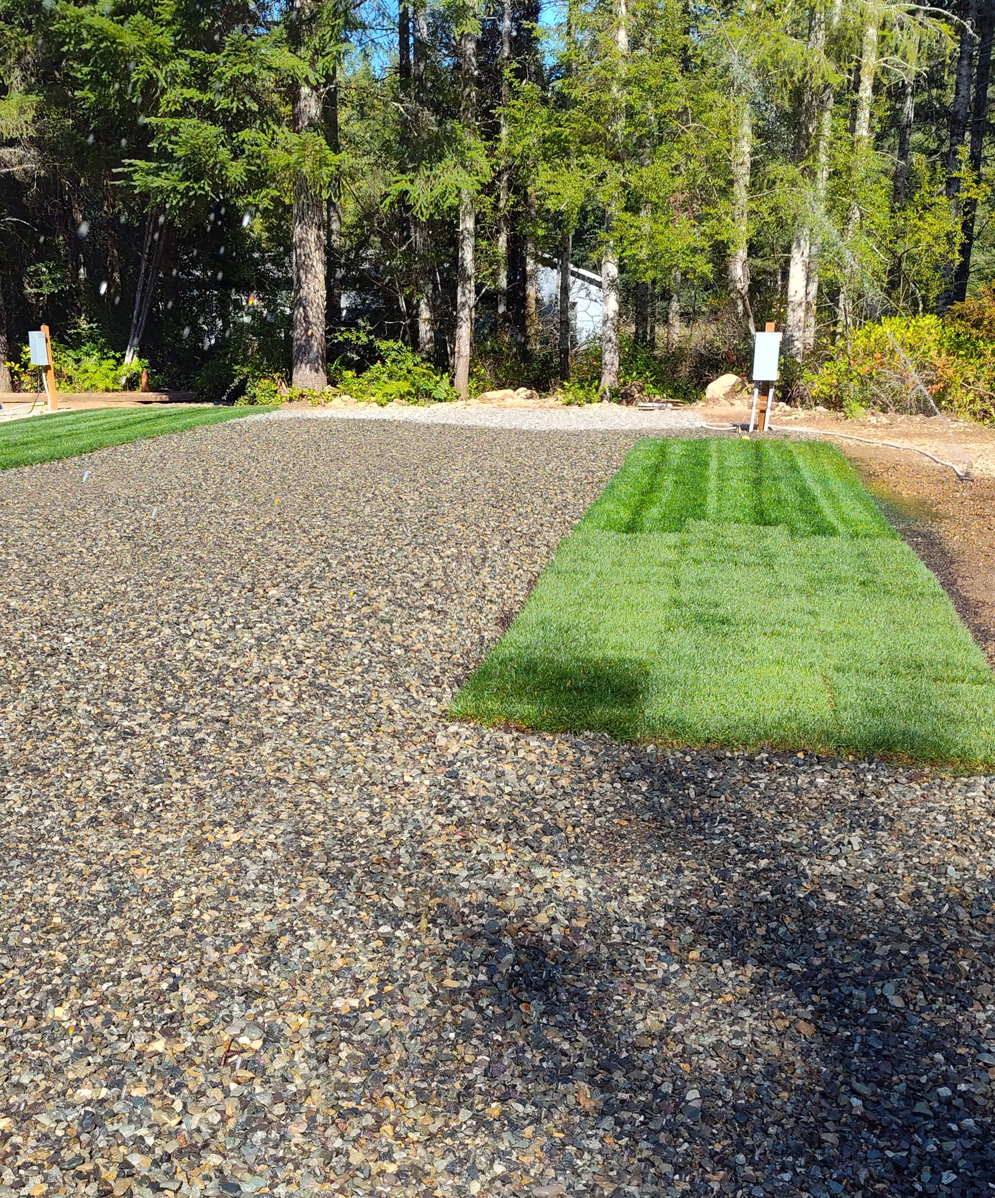 Peaceful Olympic Peninsula RV Sites