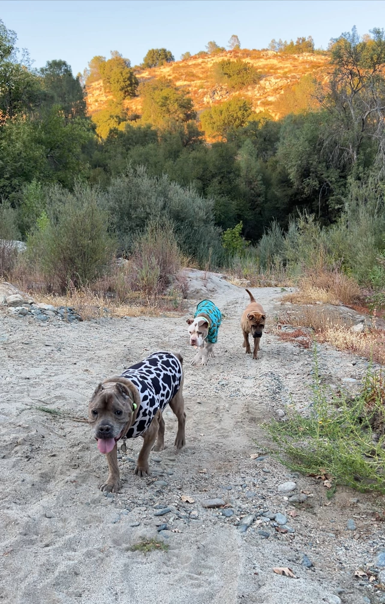 Walk from the swimming hole 