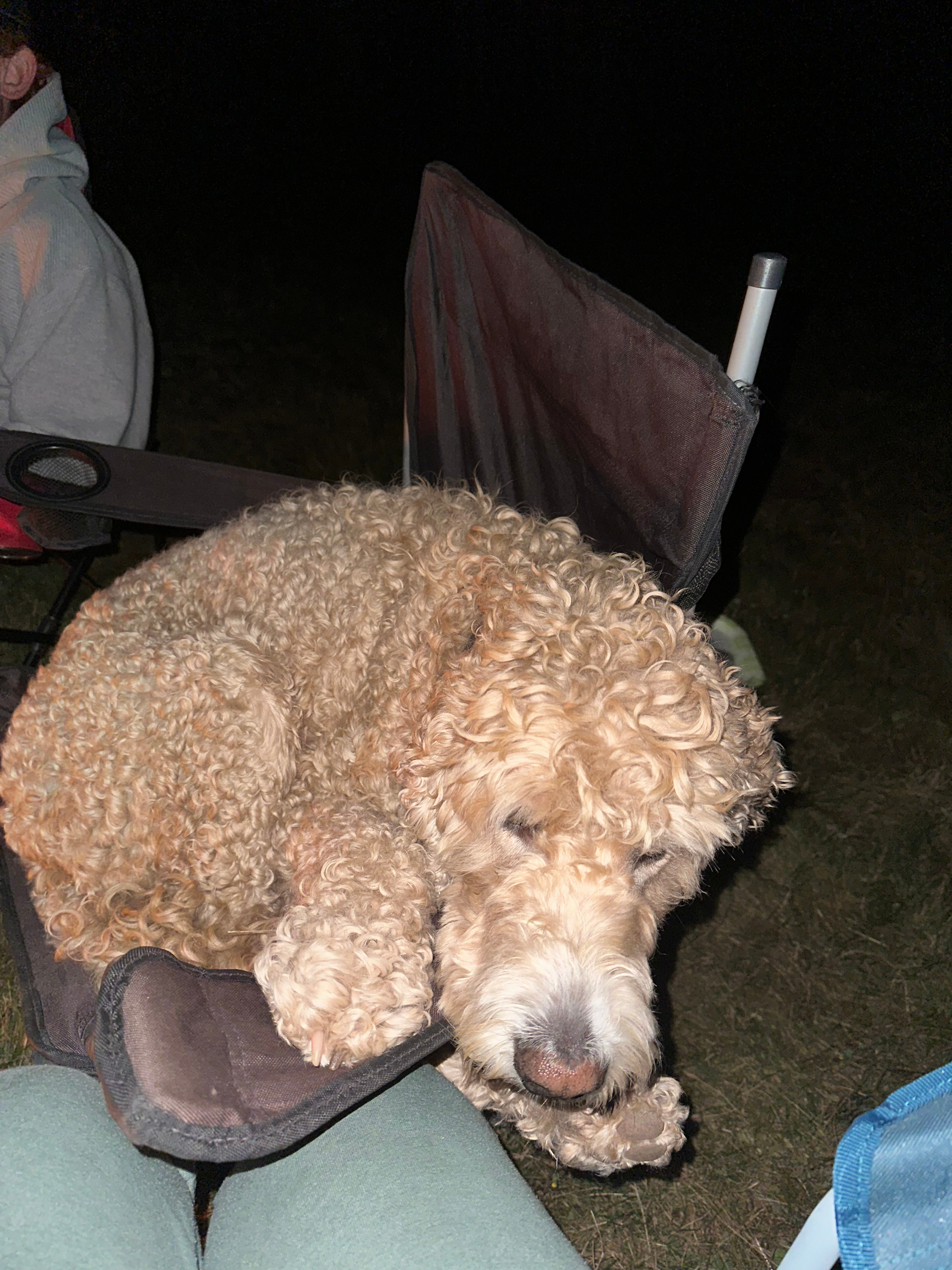 Serene Ocean Hideaway