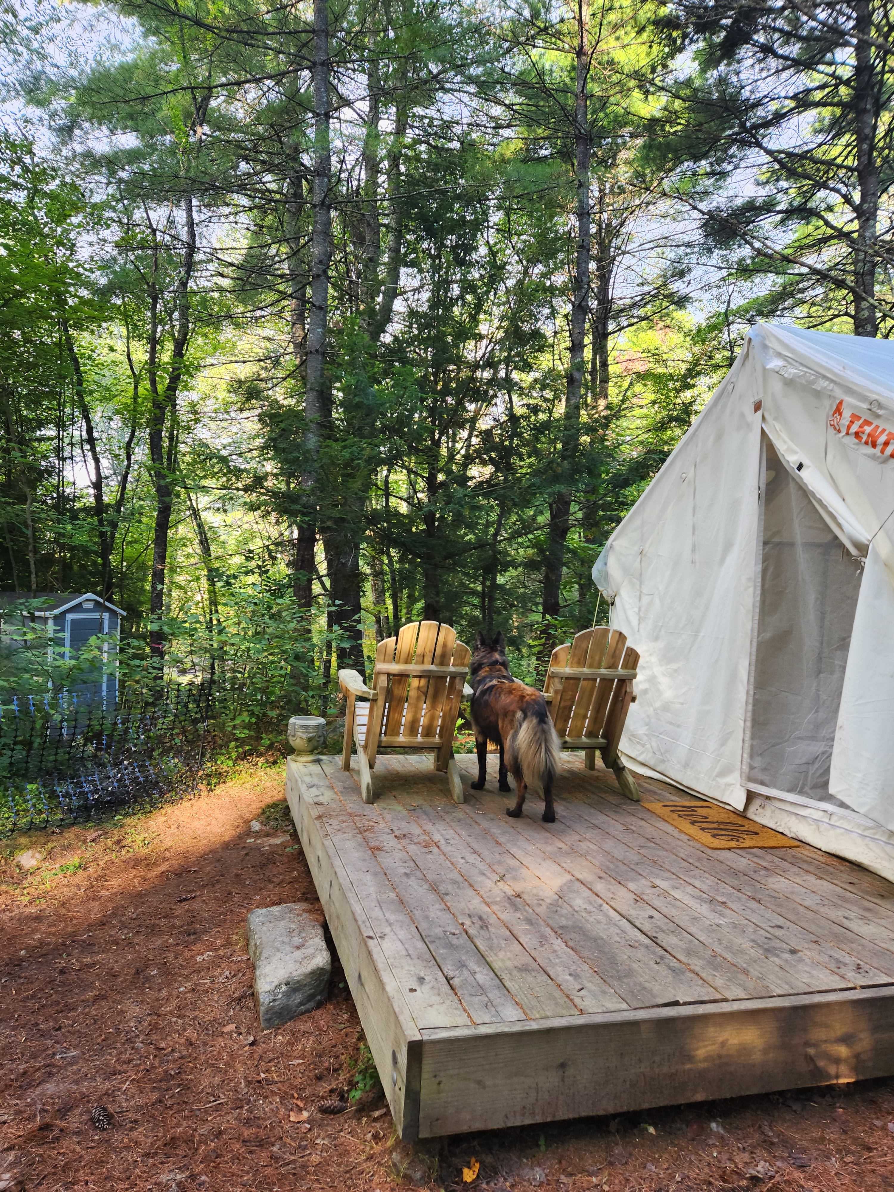 Crooked Run Farm Camping