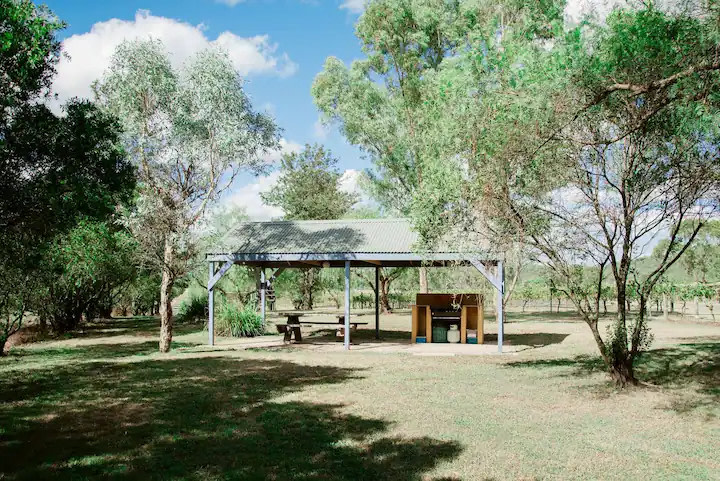 Tranquil Vale Vineyard