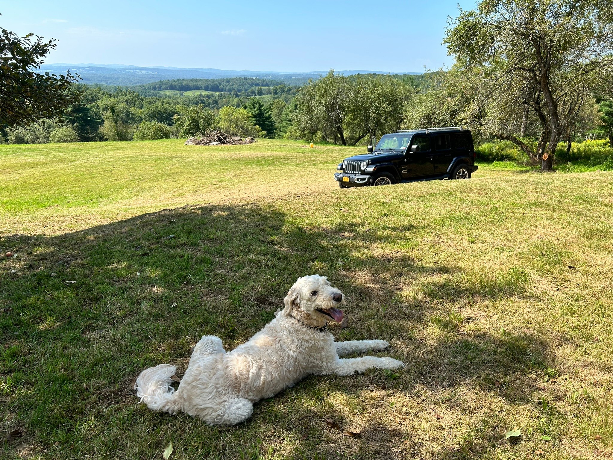 Glamping tent with Amazing Views