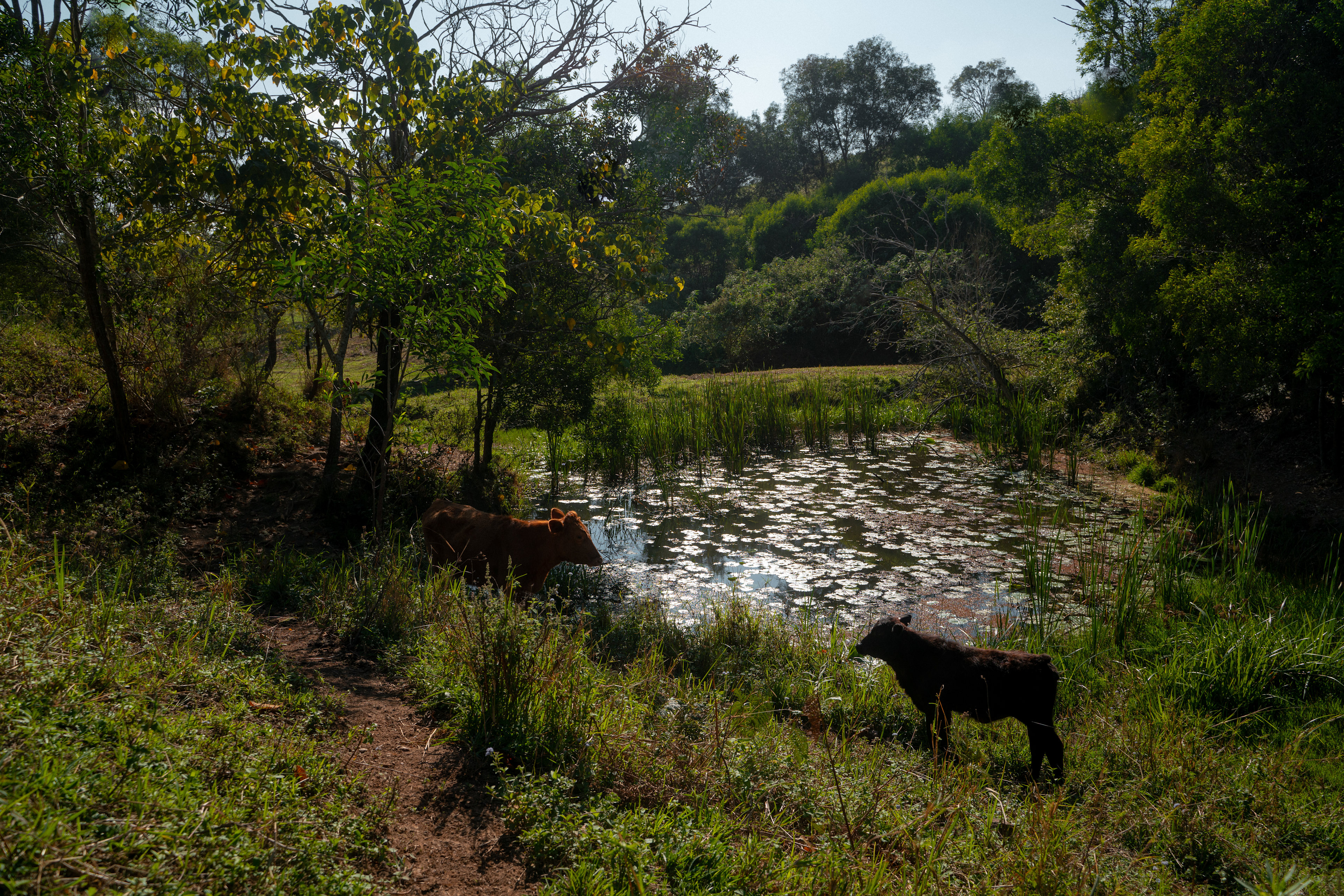 Sandycreek Homestead