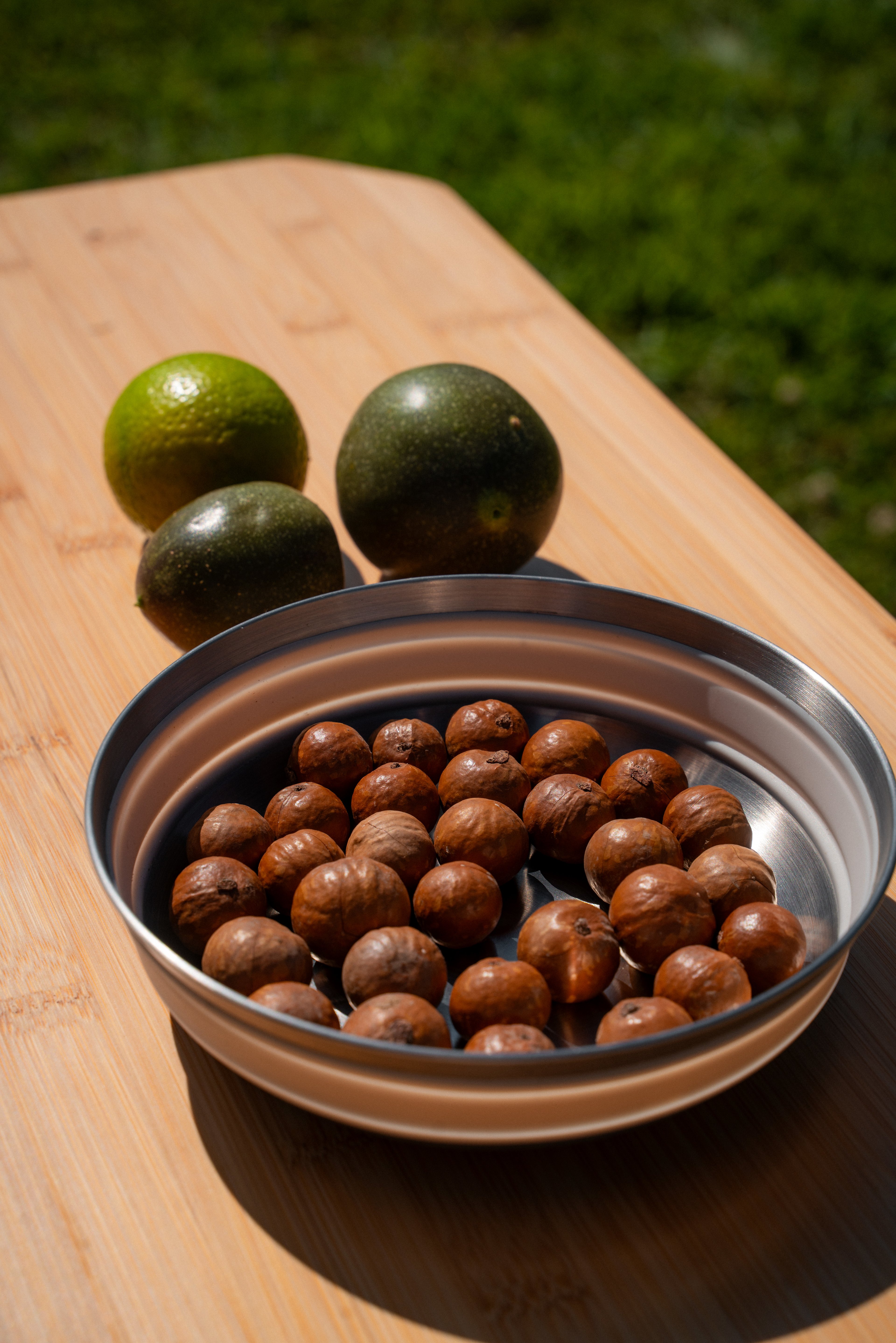The host let me pick up the nuts and also gave me some fruit from the garden.