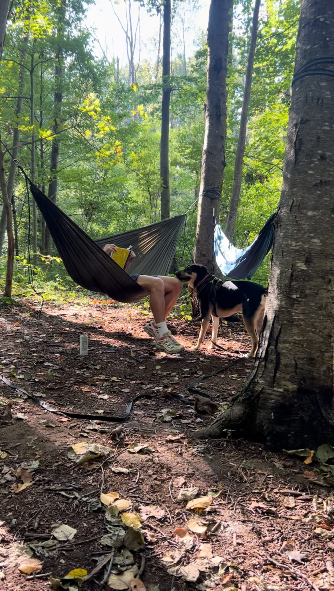 Jenny Jump Mountain