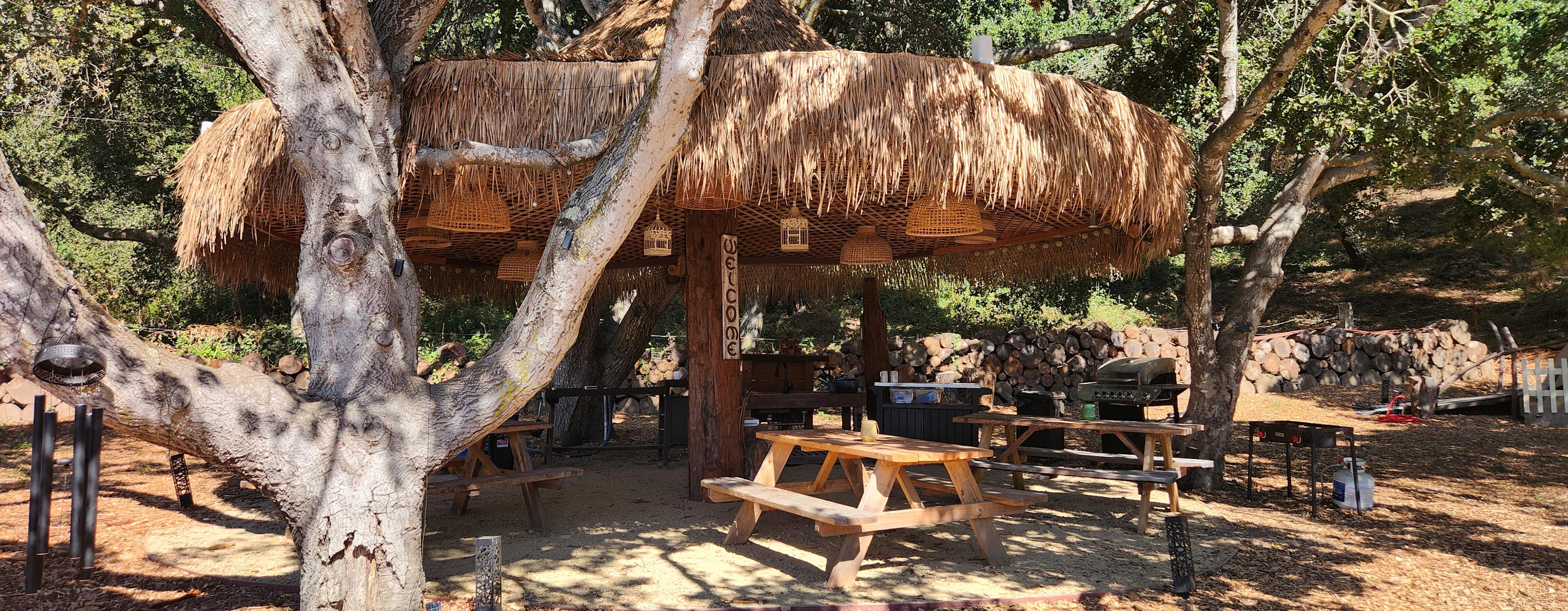 FEEL GOOD CAMP