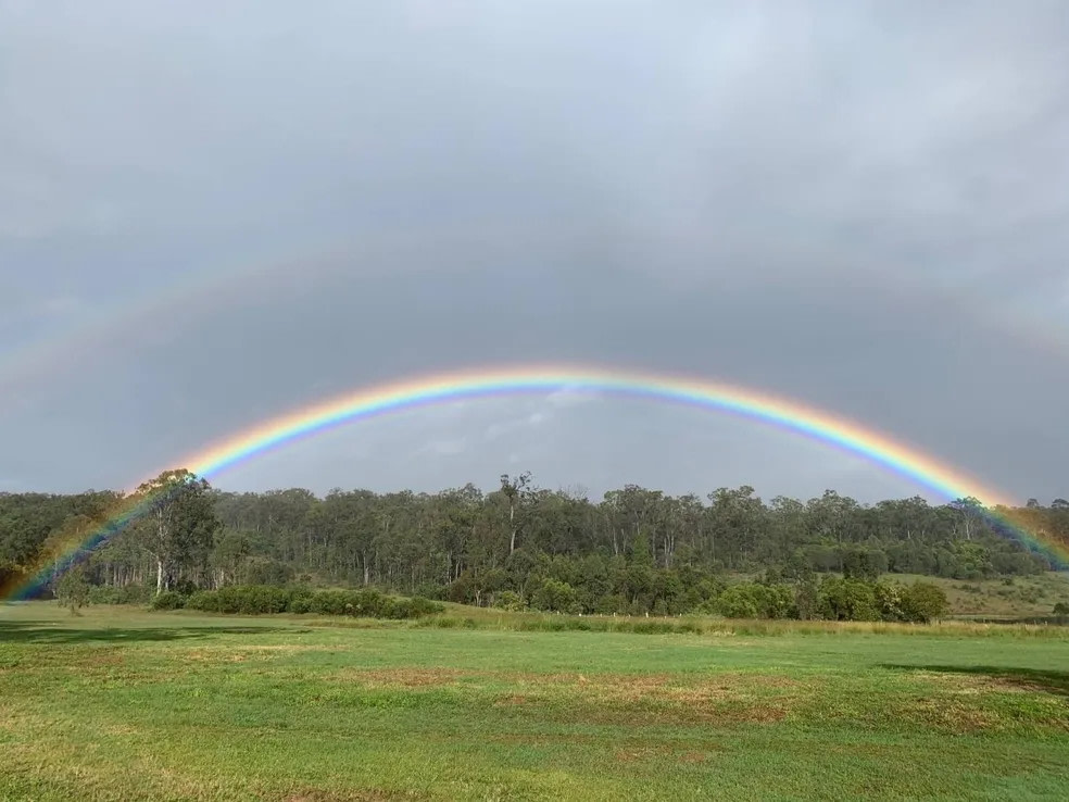 Anderleigh Winery by Fu's Farm