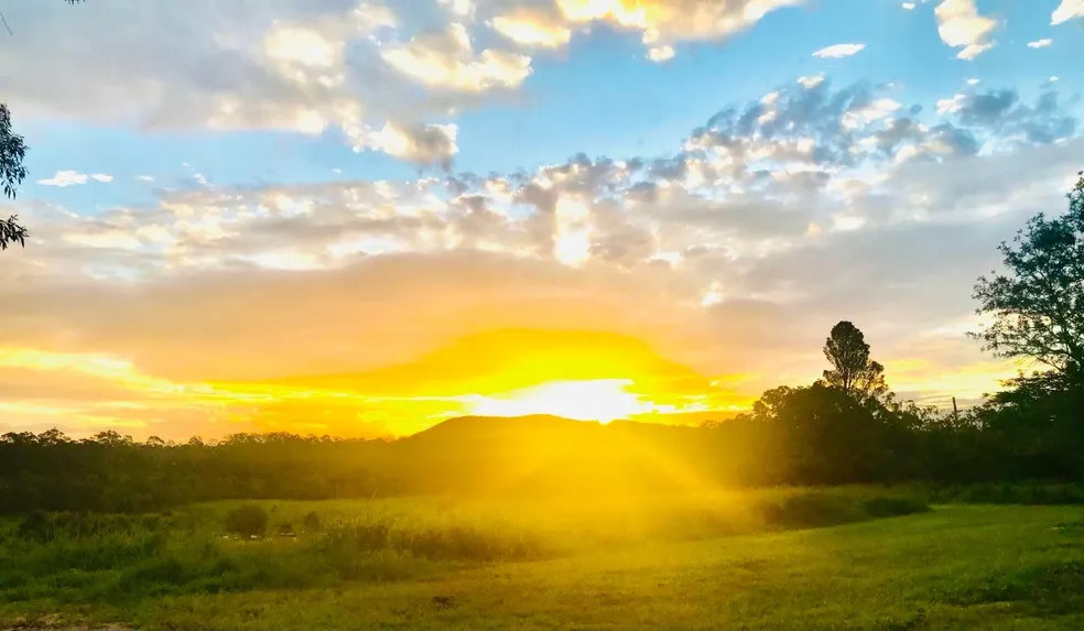Anderleigh Winery by Fu's Farm