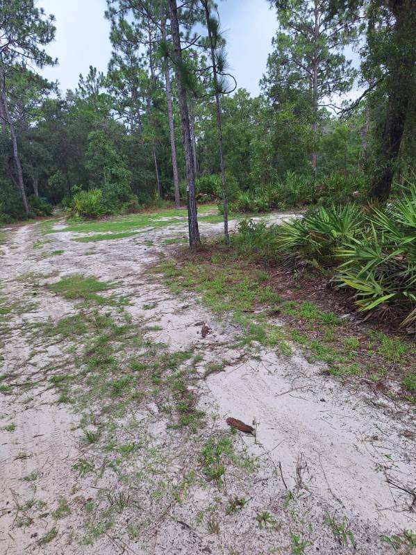 Private RVing Near Kings Bay Marina