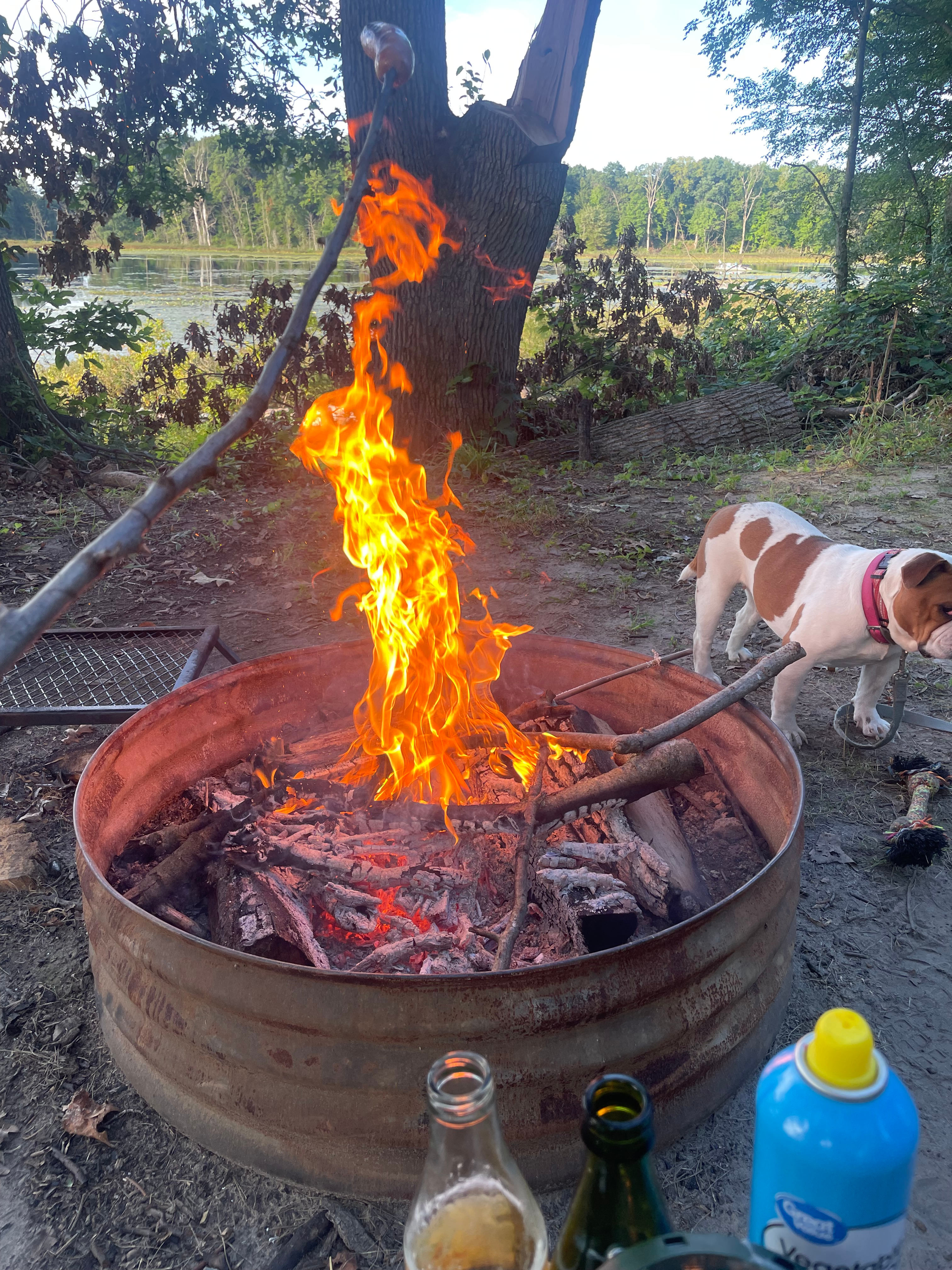 Restful Camping Retreat