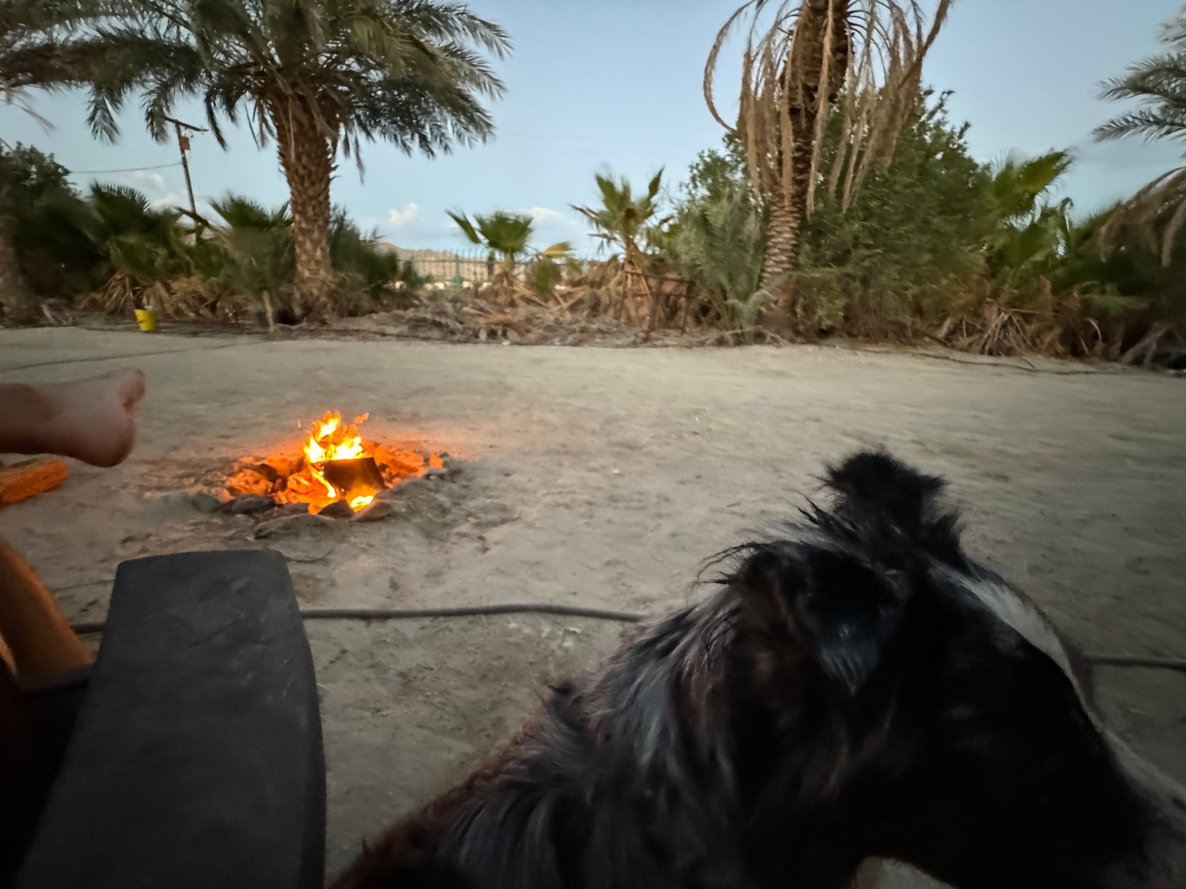 Mineral Spring Date Farm