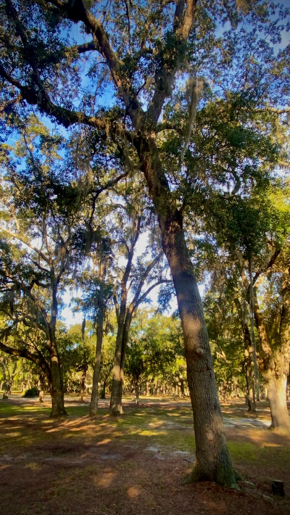 The Lodge at Hartley Oaks