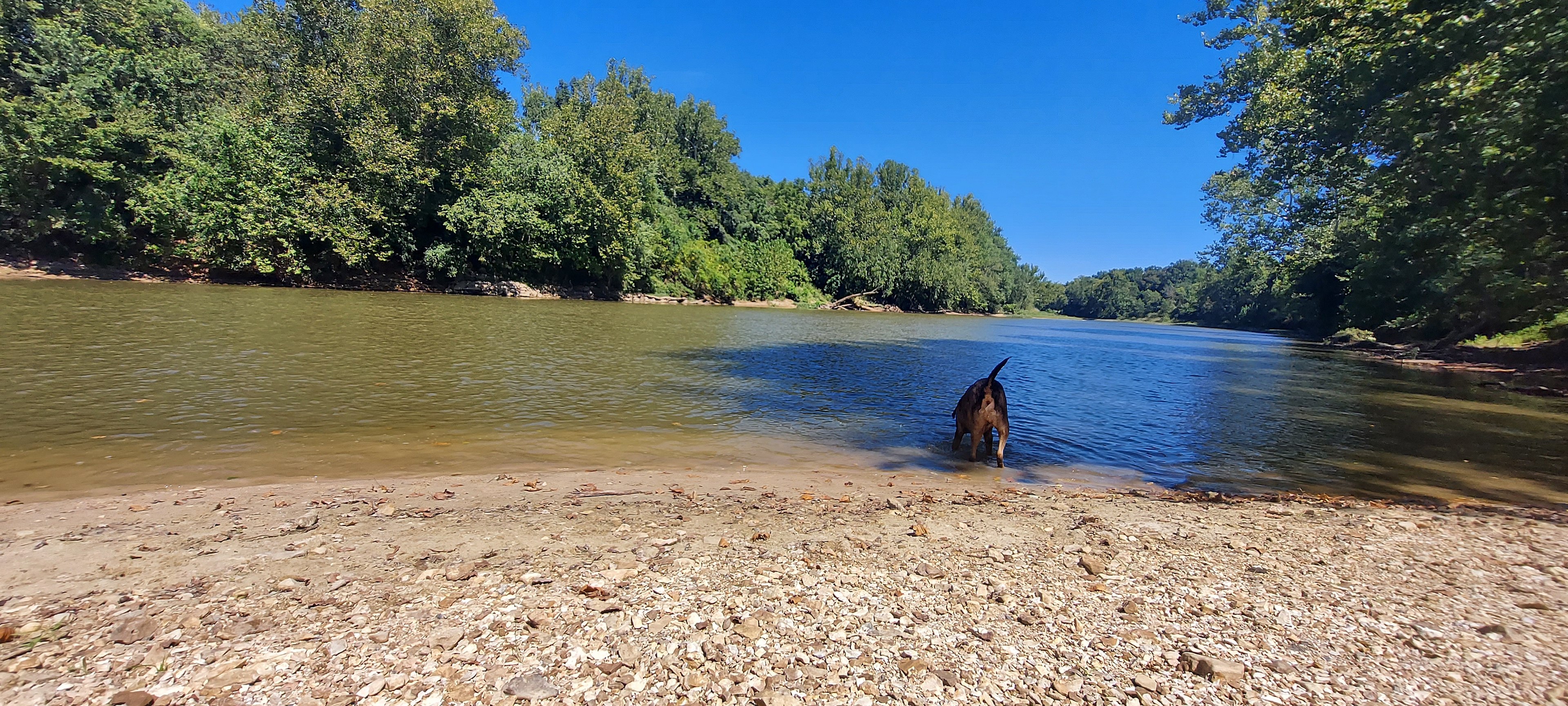 Matt's Place at Meramec n Labarque