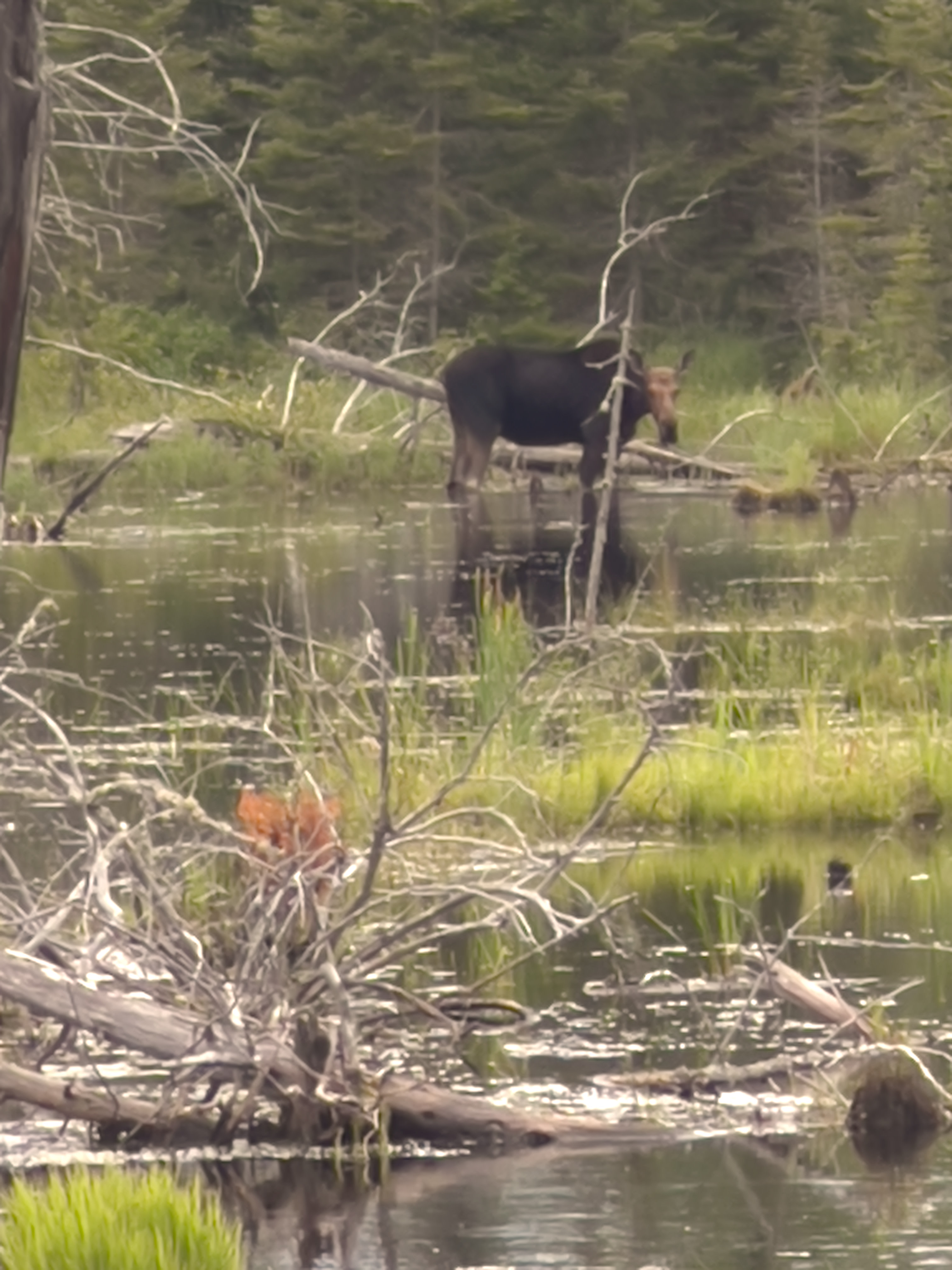 Bally Creek Cabins - off grid!