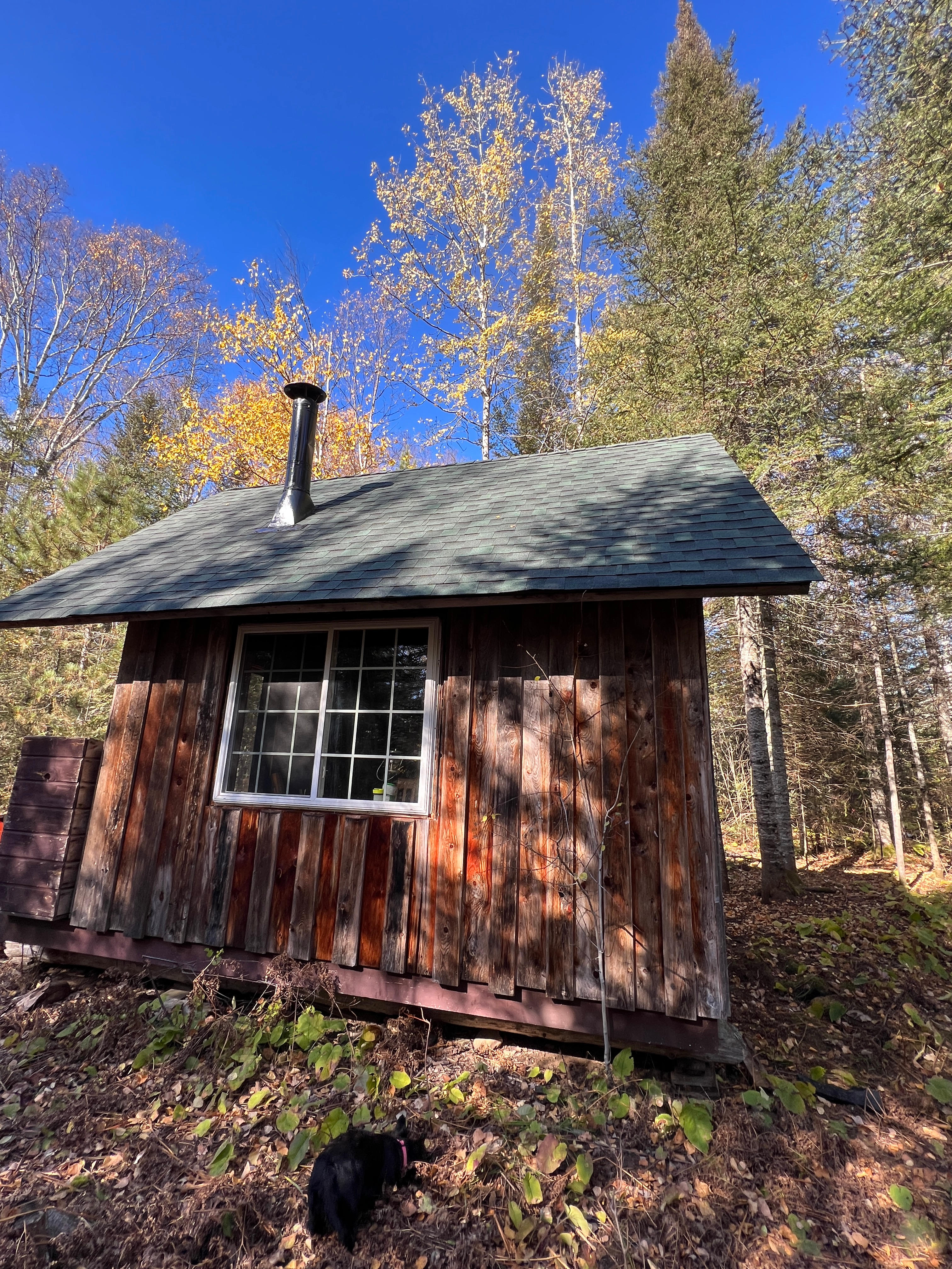 Bally Creek Cabins - off grid!