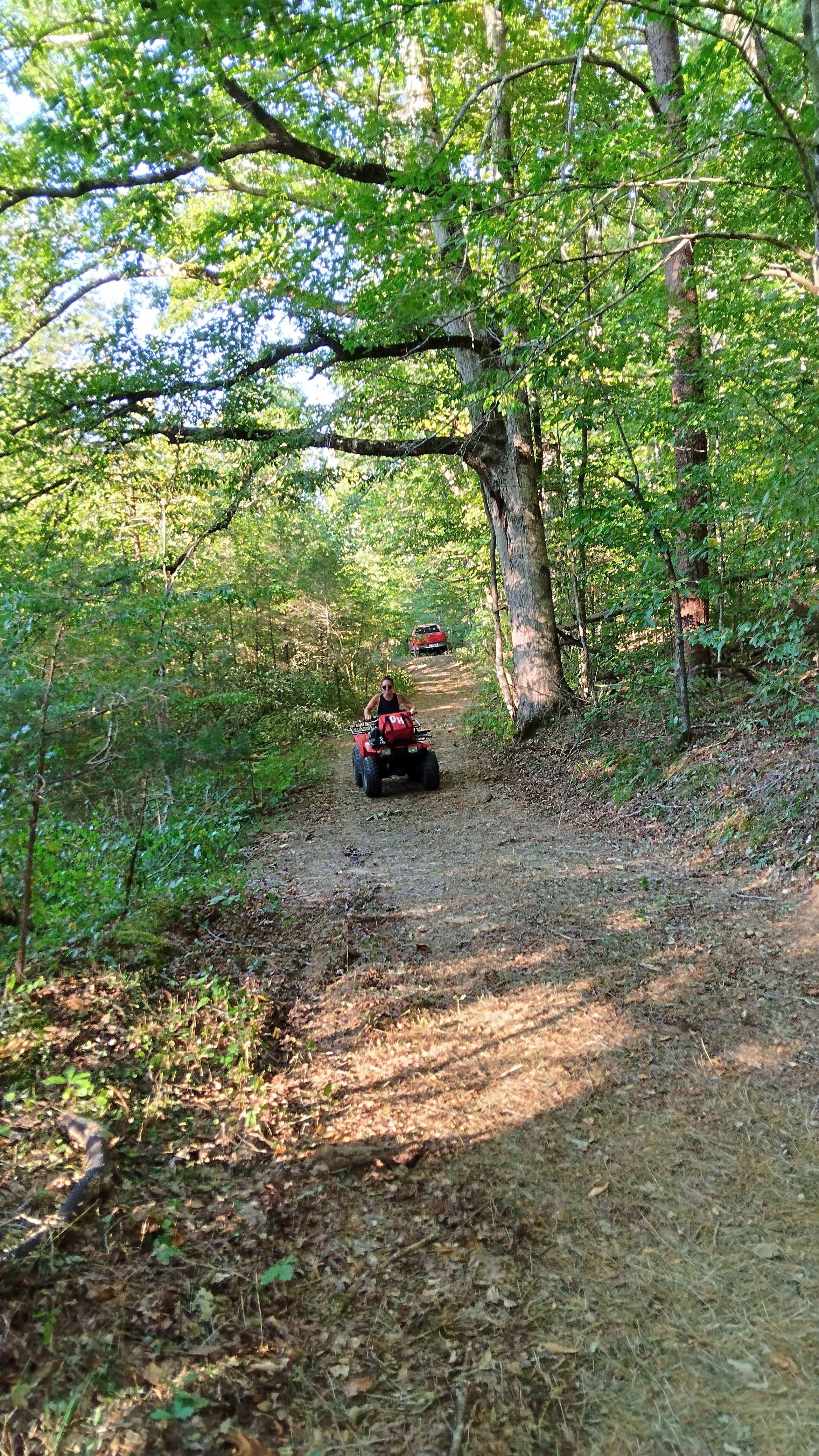 Harmony Hollow n the Smokies