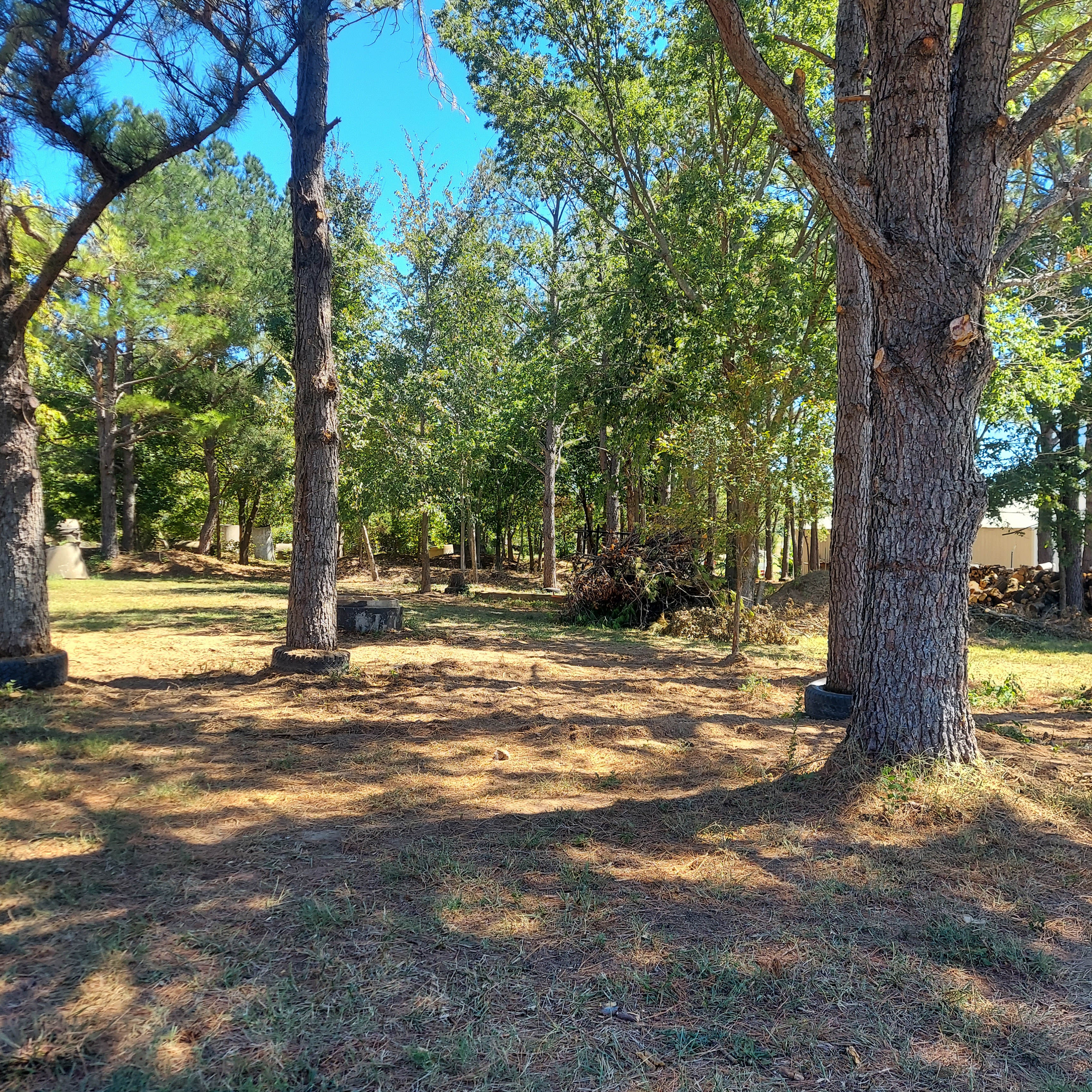 Buffalo Hump RV/tent