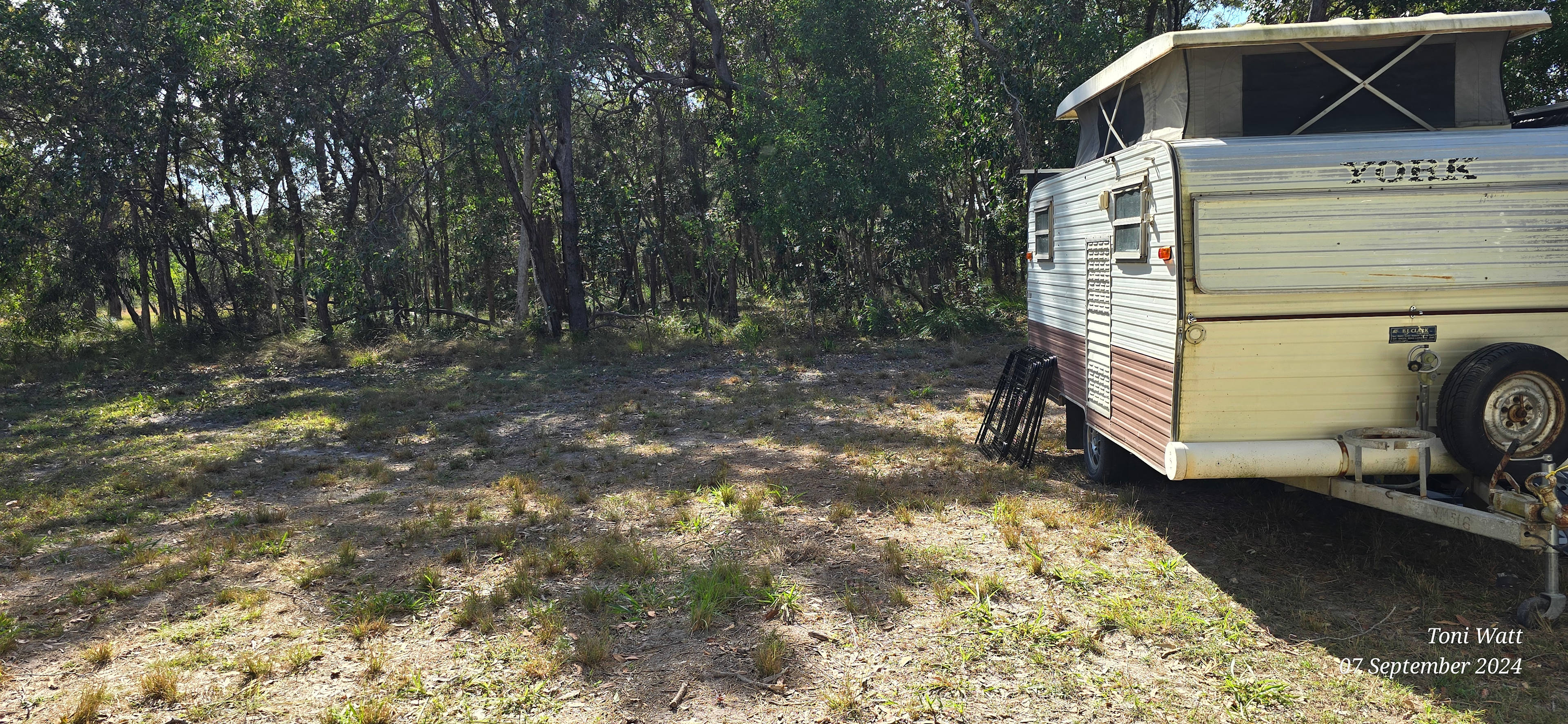 Rules Beach Turtles Bushcamp🐢