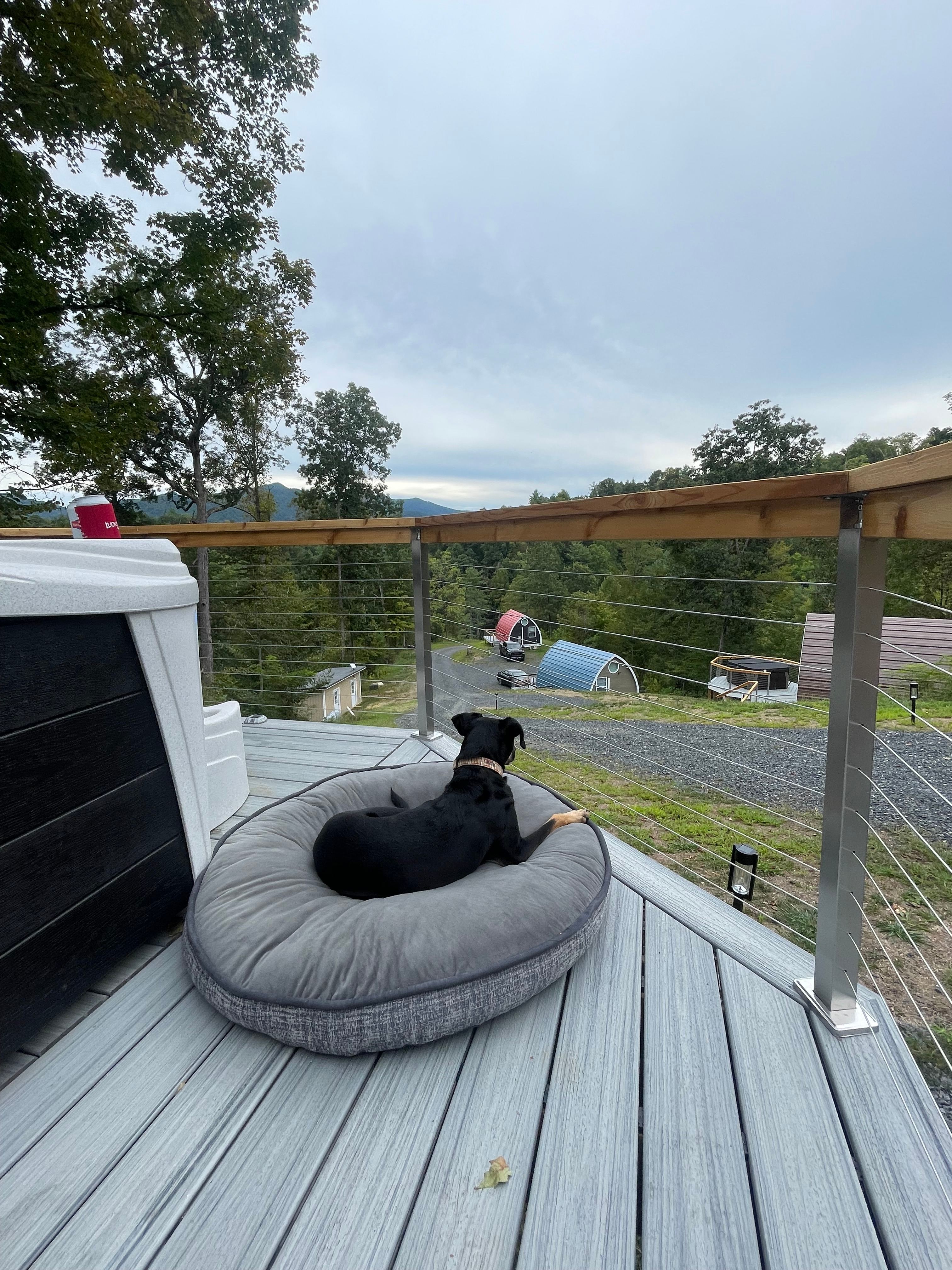 Romantic, hot tub, pet friendly