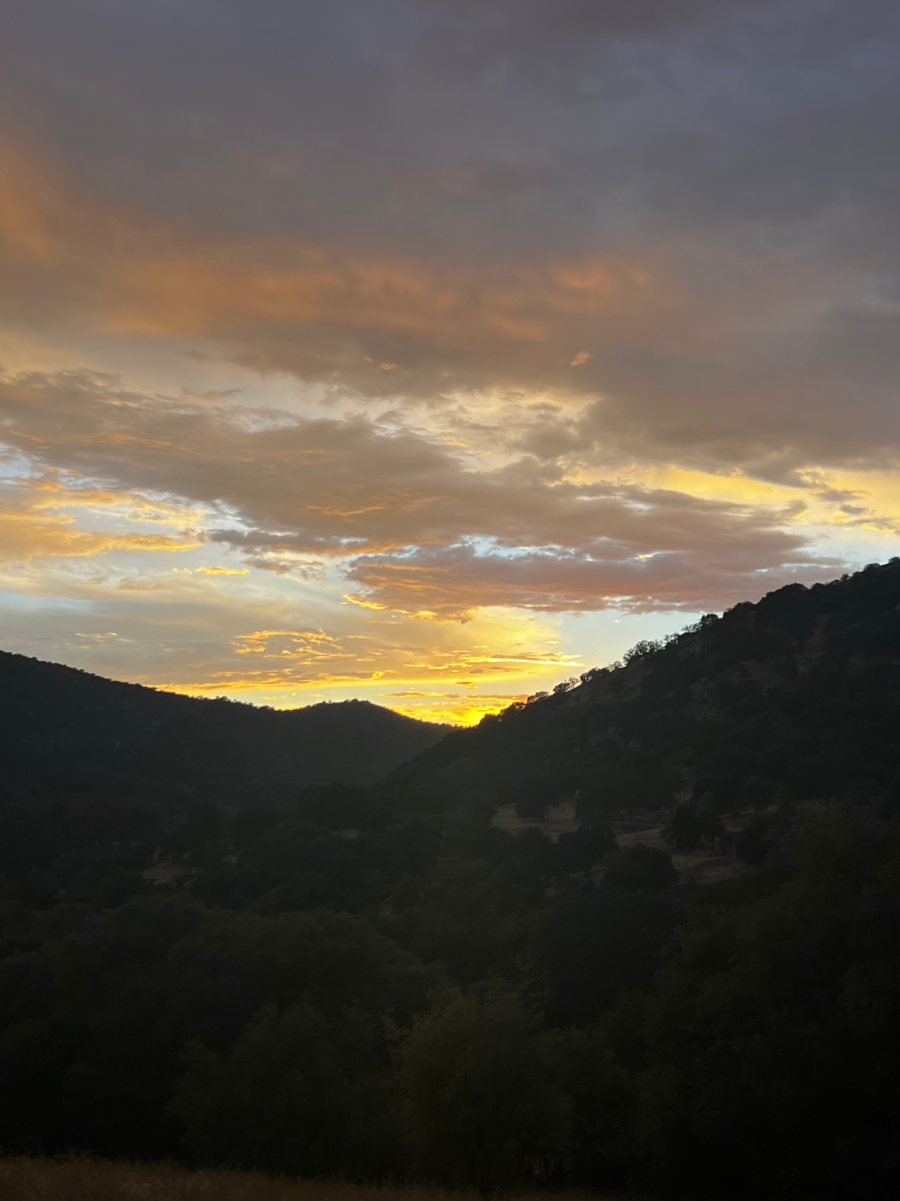 Sequoia Secluded Escape