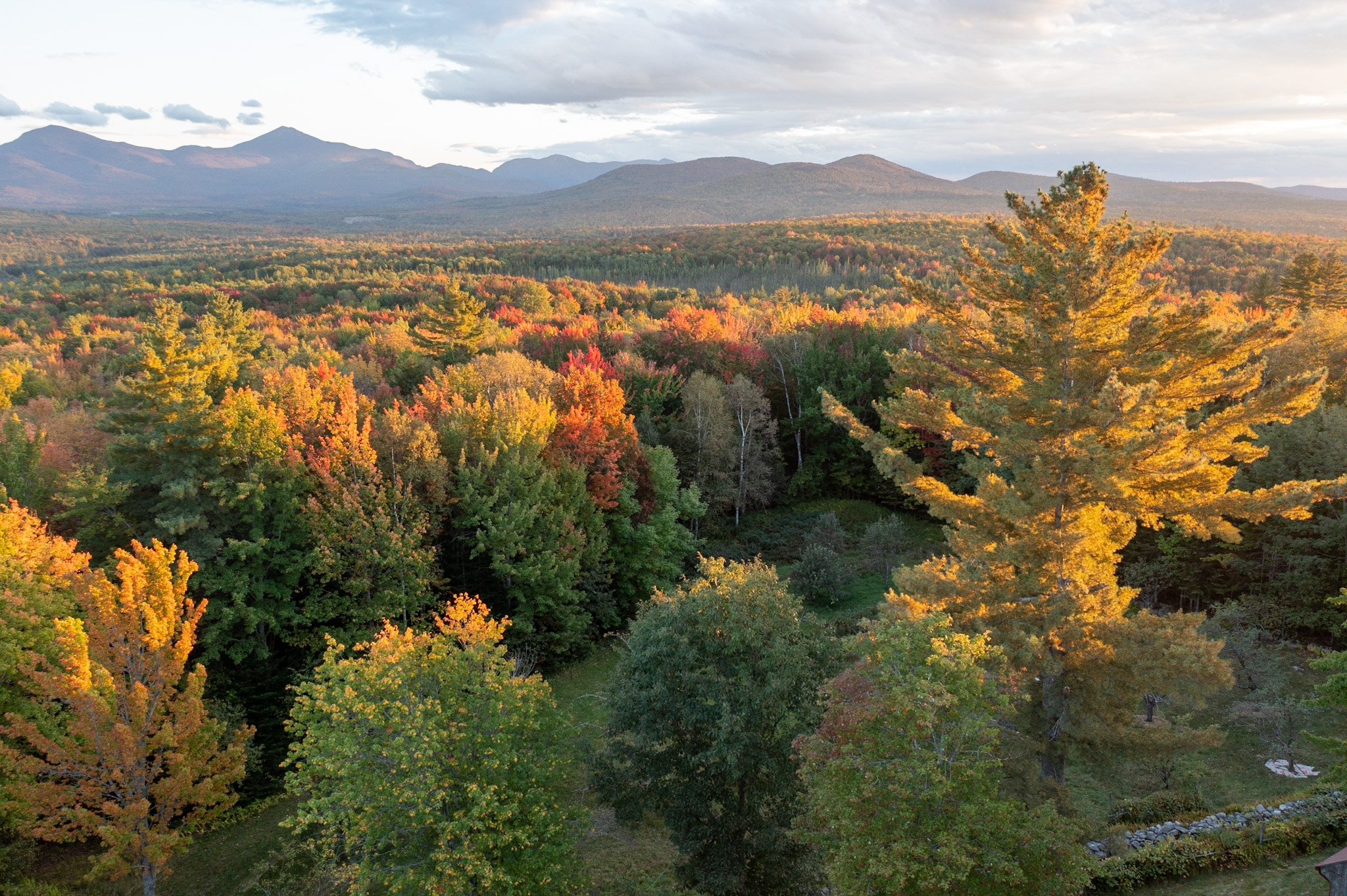 The conservation woodland in autumn