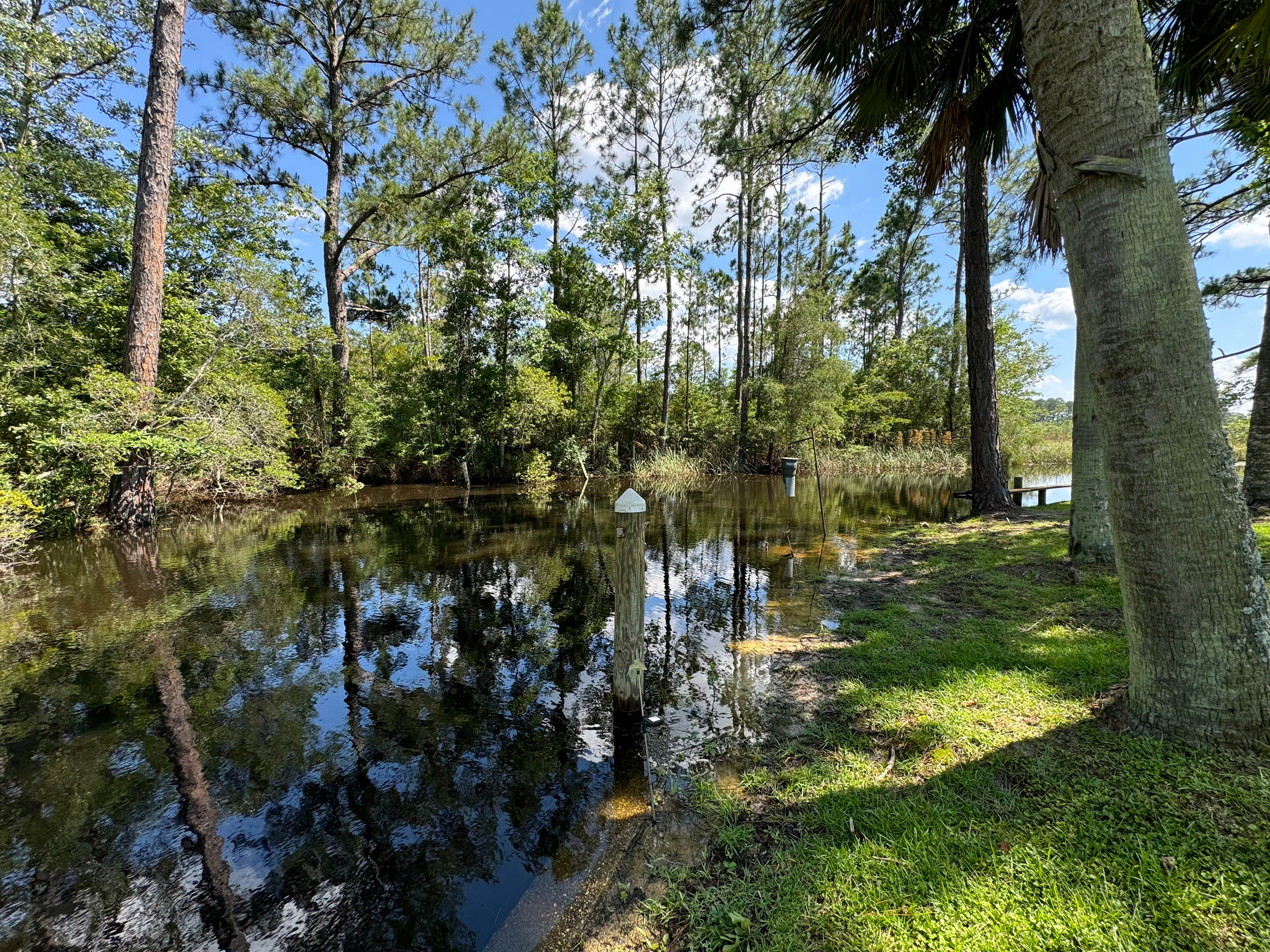 FOB Pelican on the bayou War Wagon