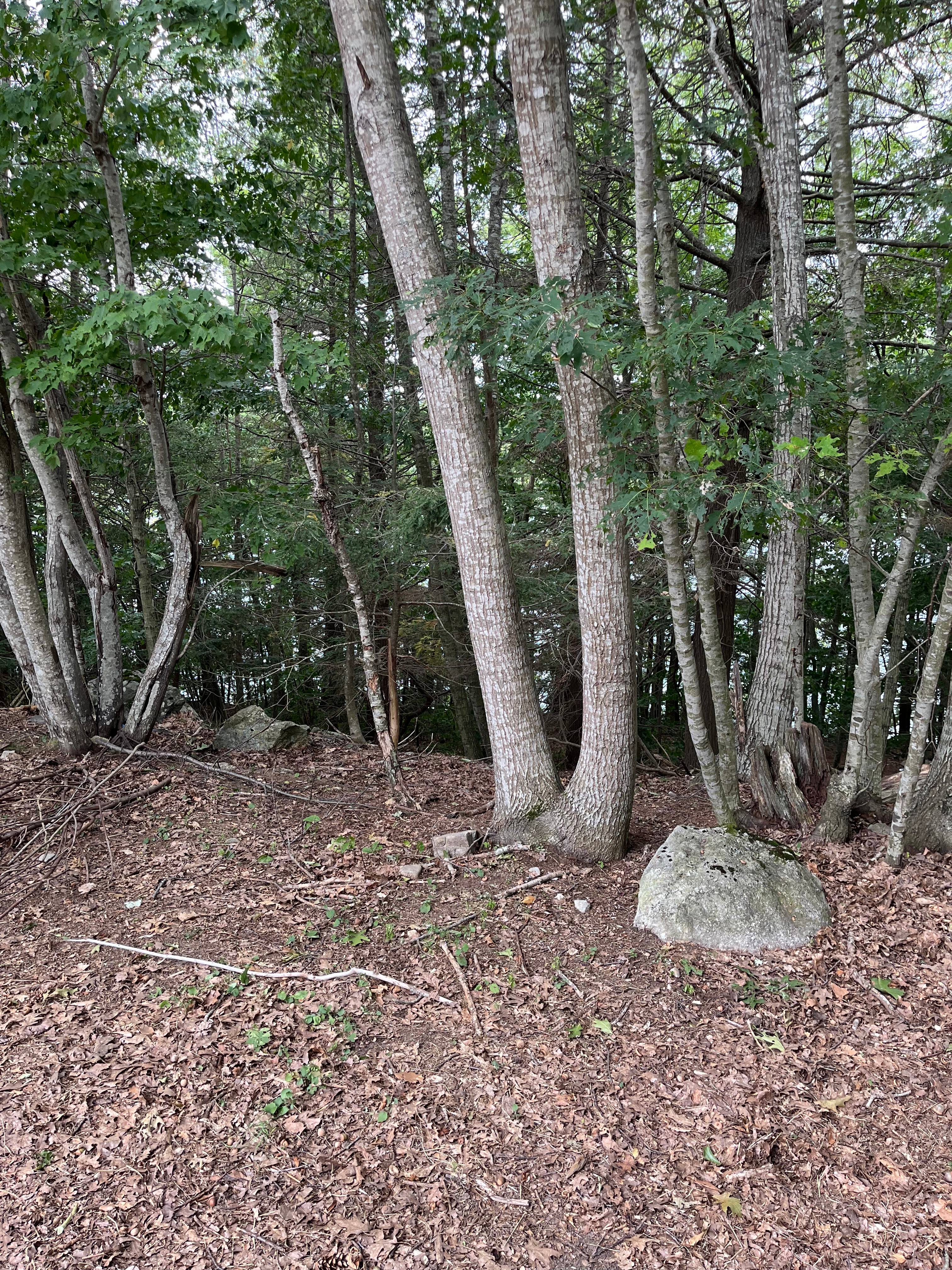 Lakeside camping near Bath Maine
