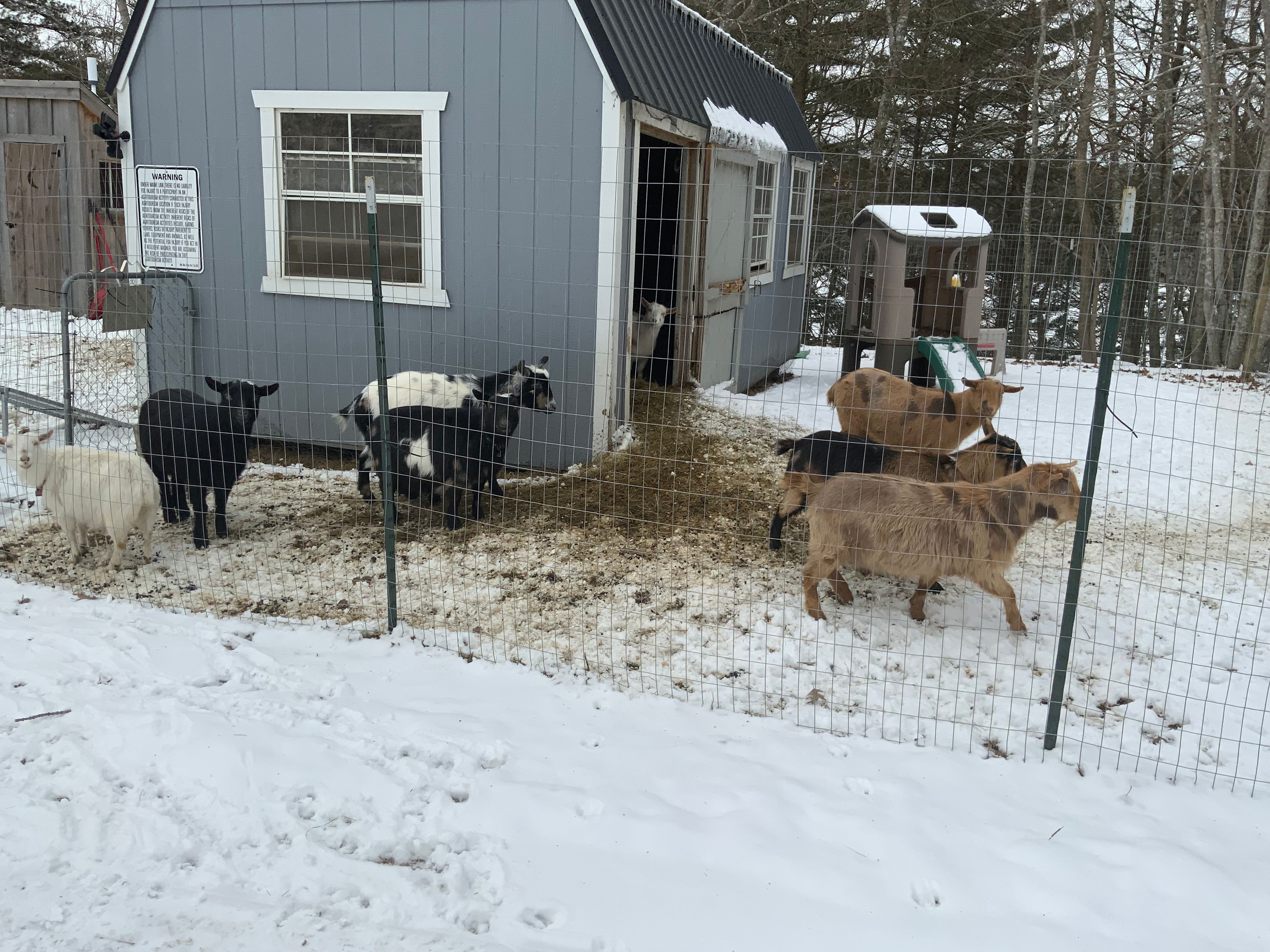 Lakeside camping near Bath Maine
