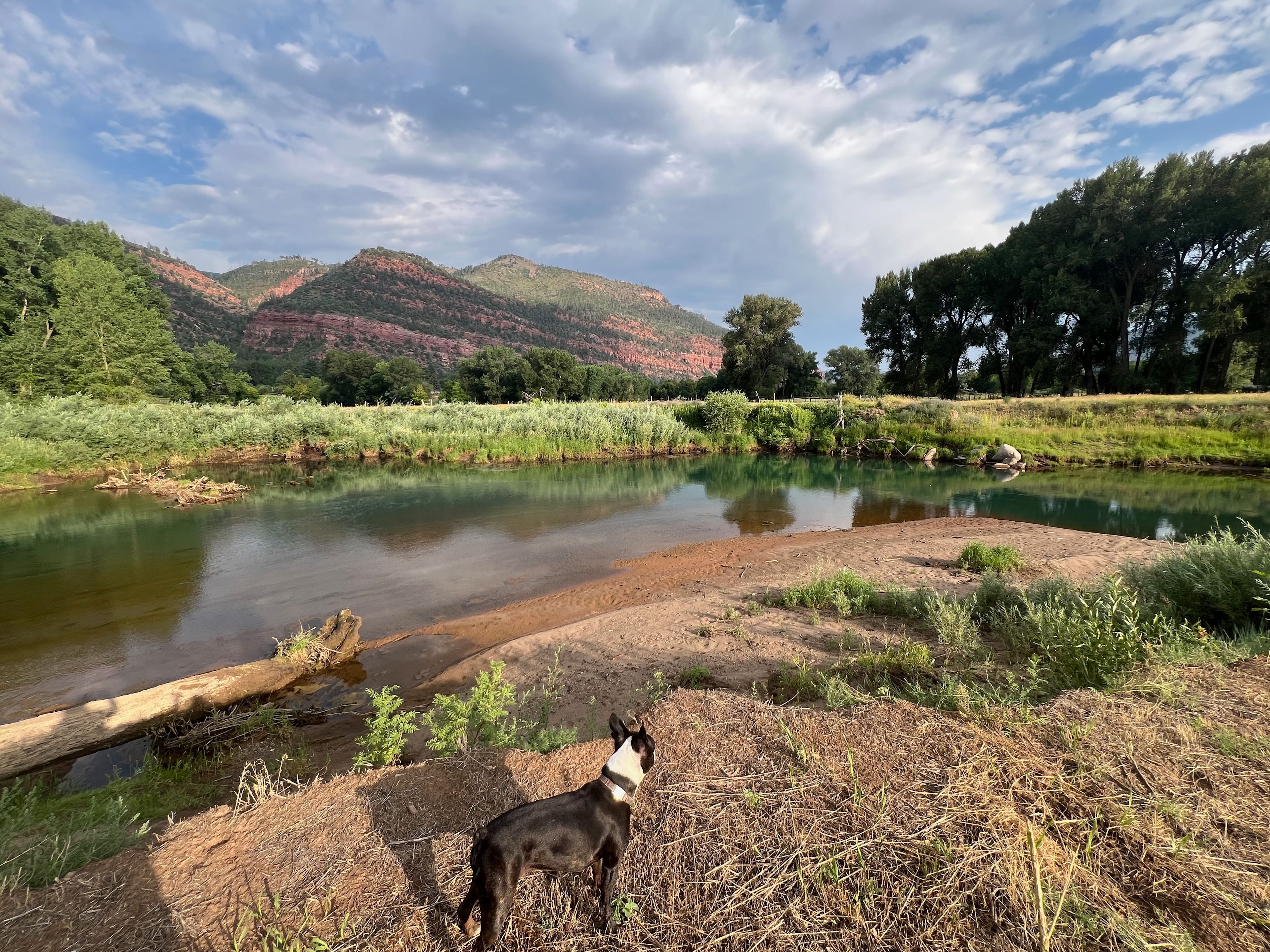 Riverside Meadows Camping