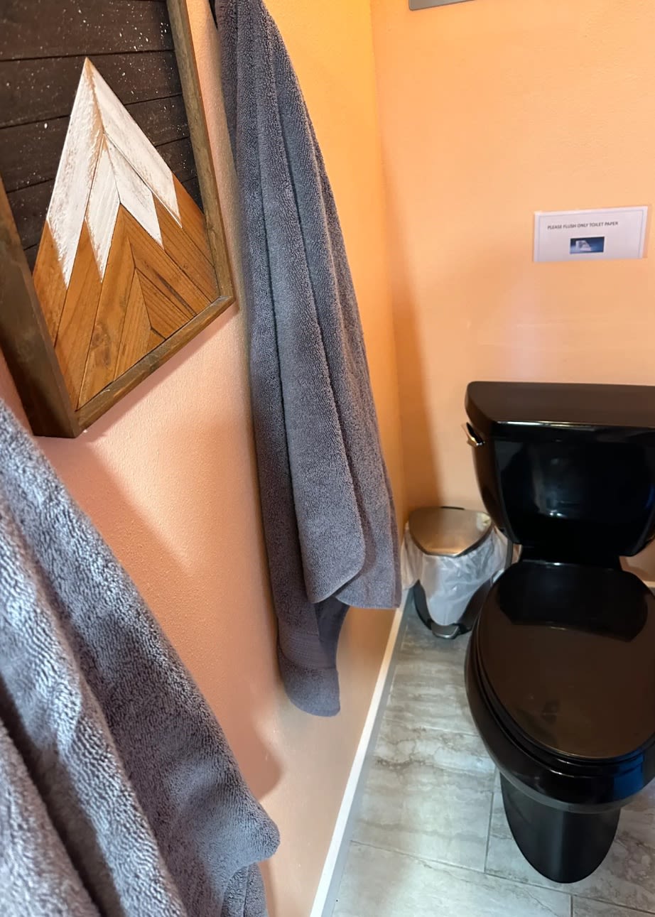 Capital Forest Adventure Retreat